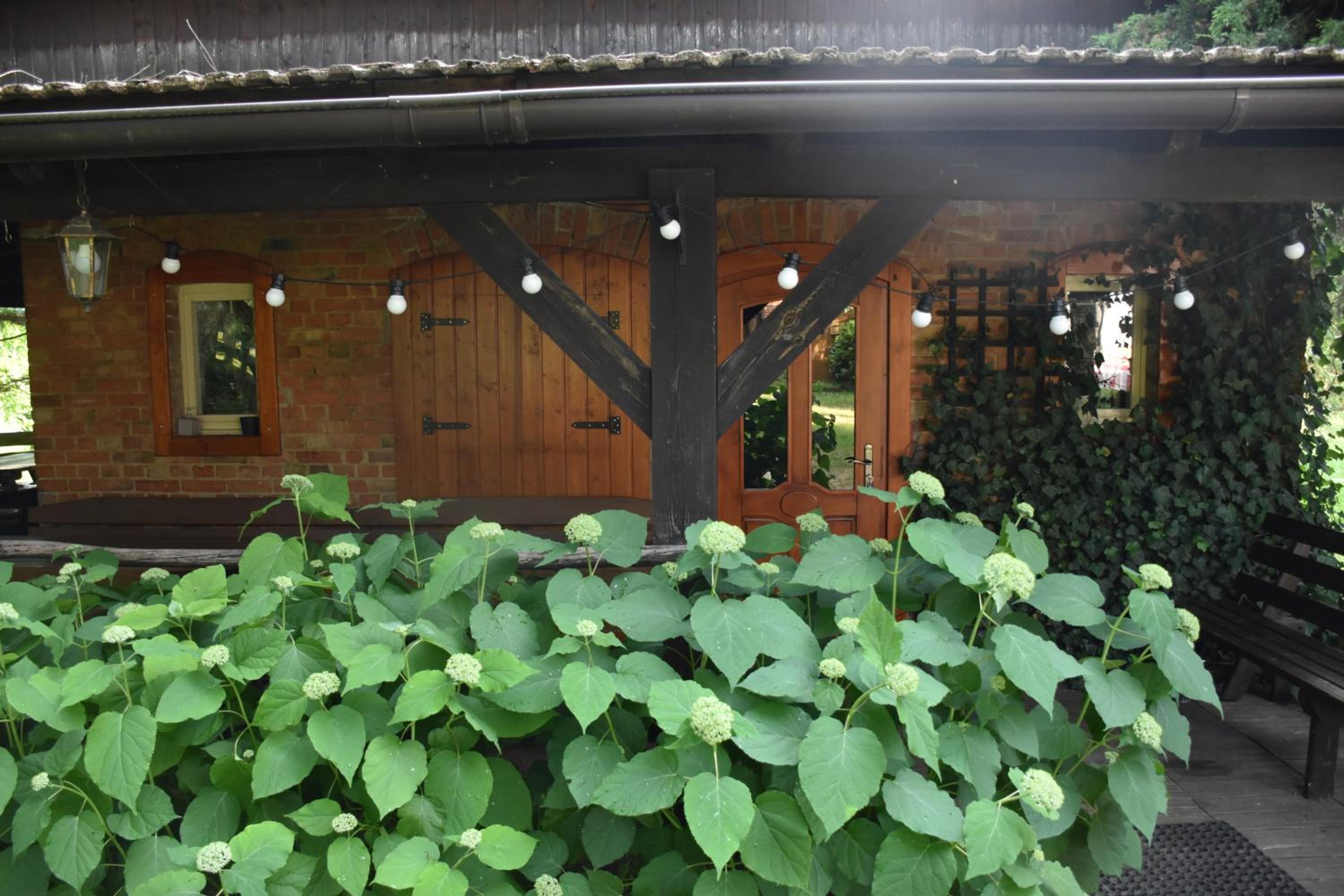 Photo 41