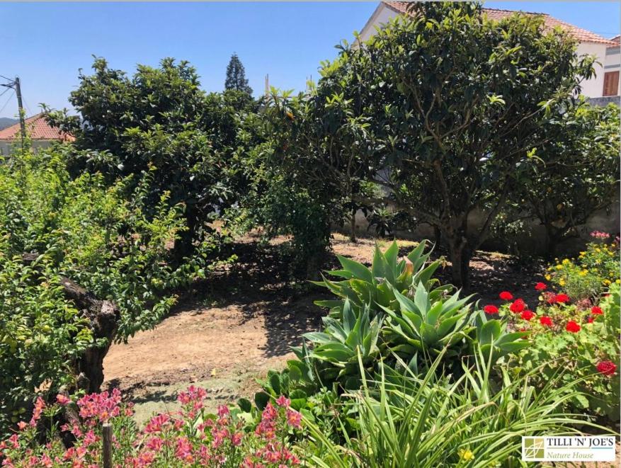 Tilli'n'Joe's Nature House view 5