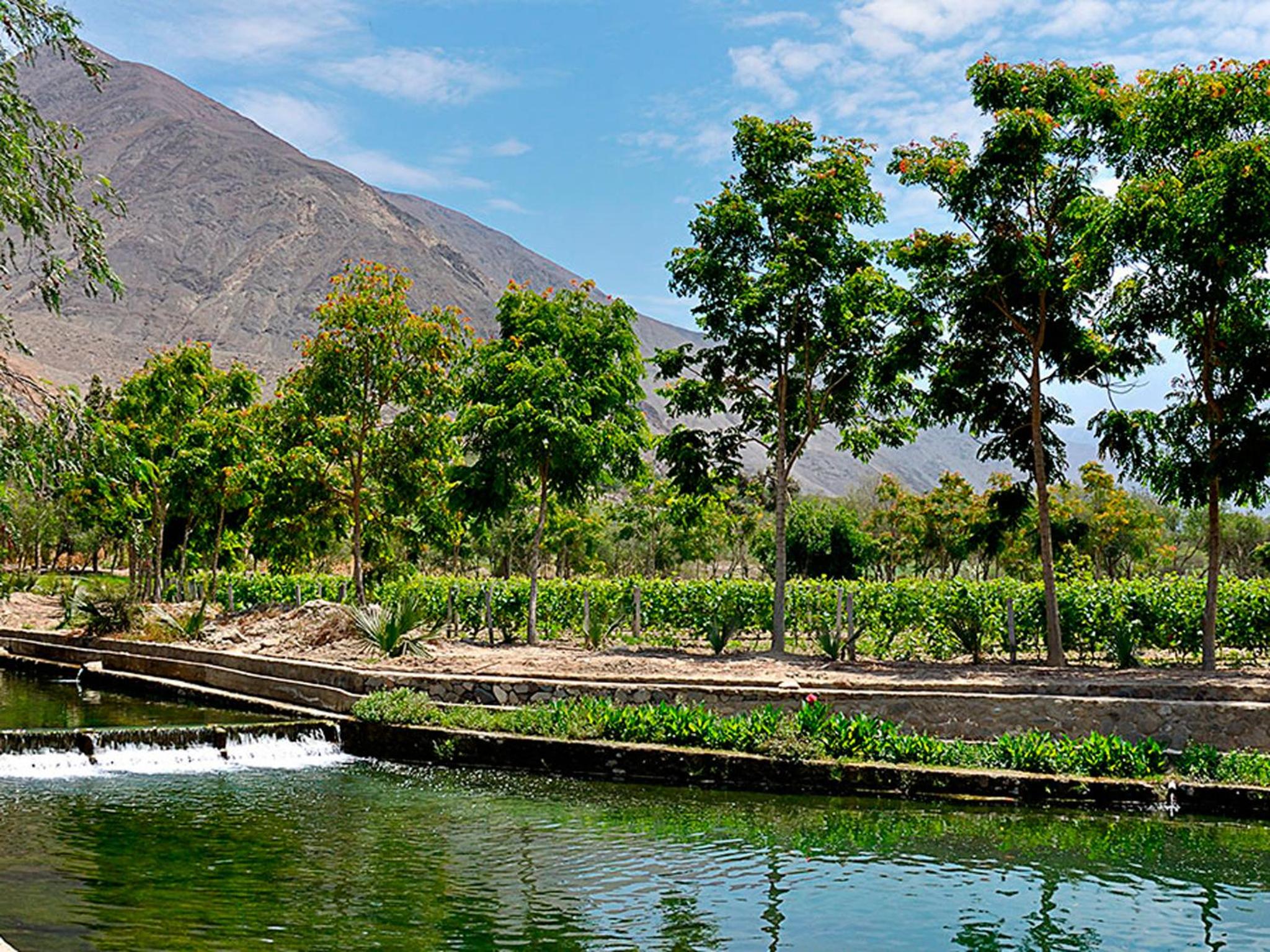 Guizado Portillo Hacienda & Resort