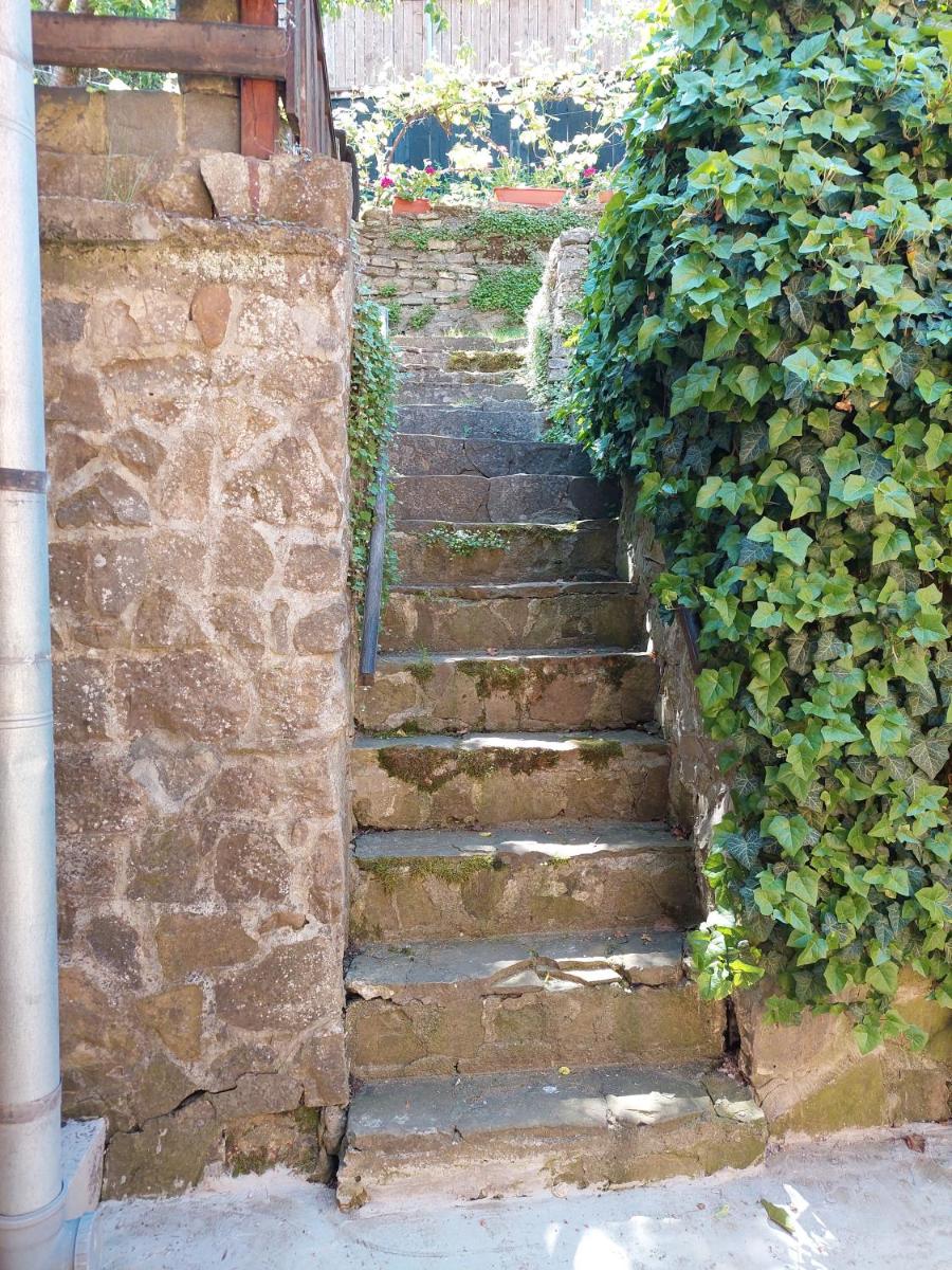 Photo 30