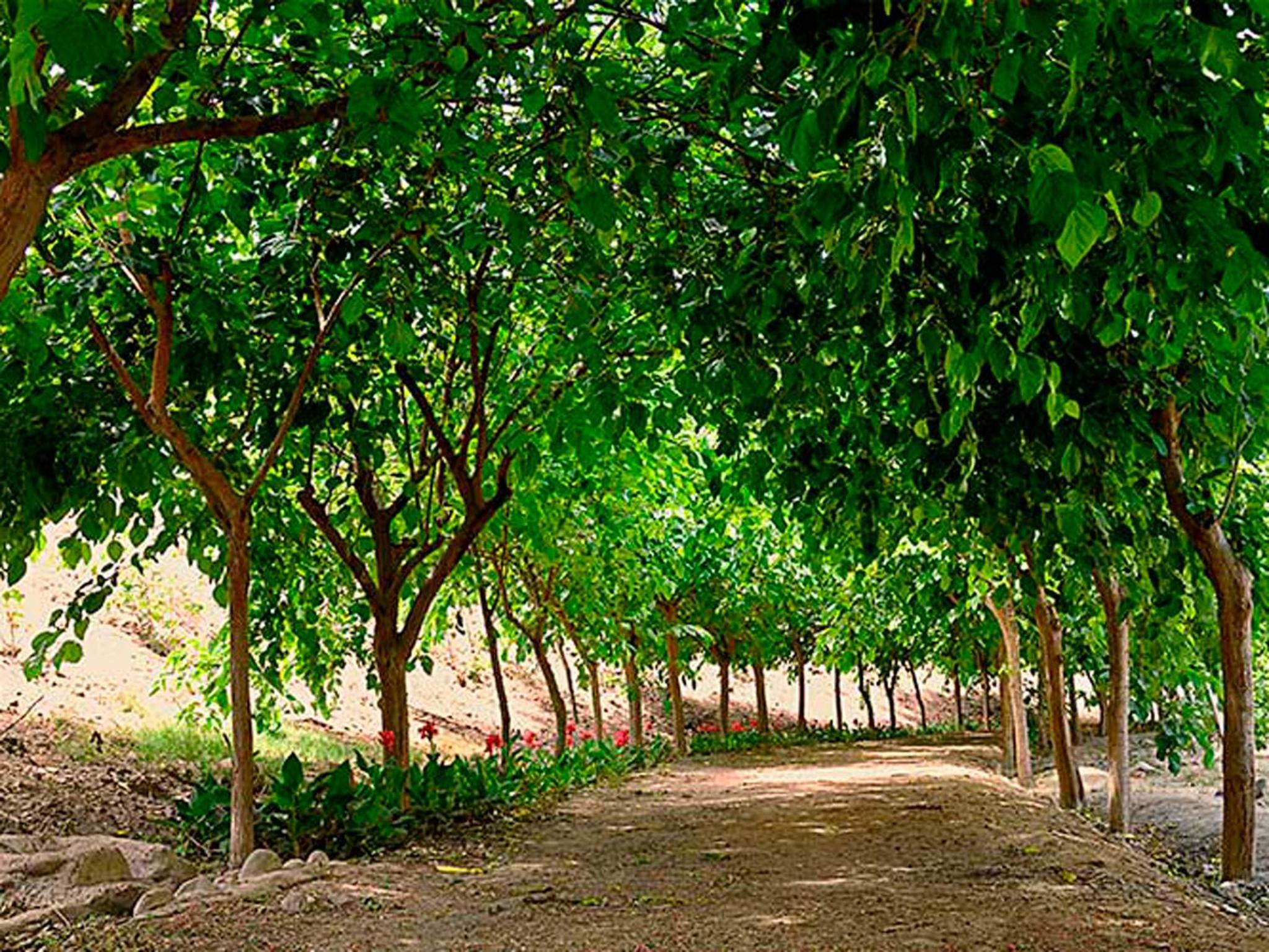 Guizado Portillo Hacienda & Resort