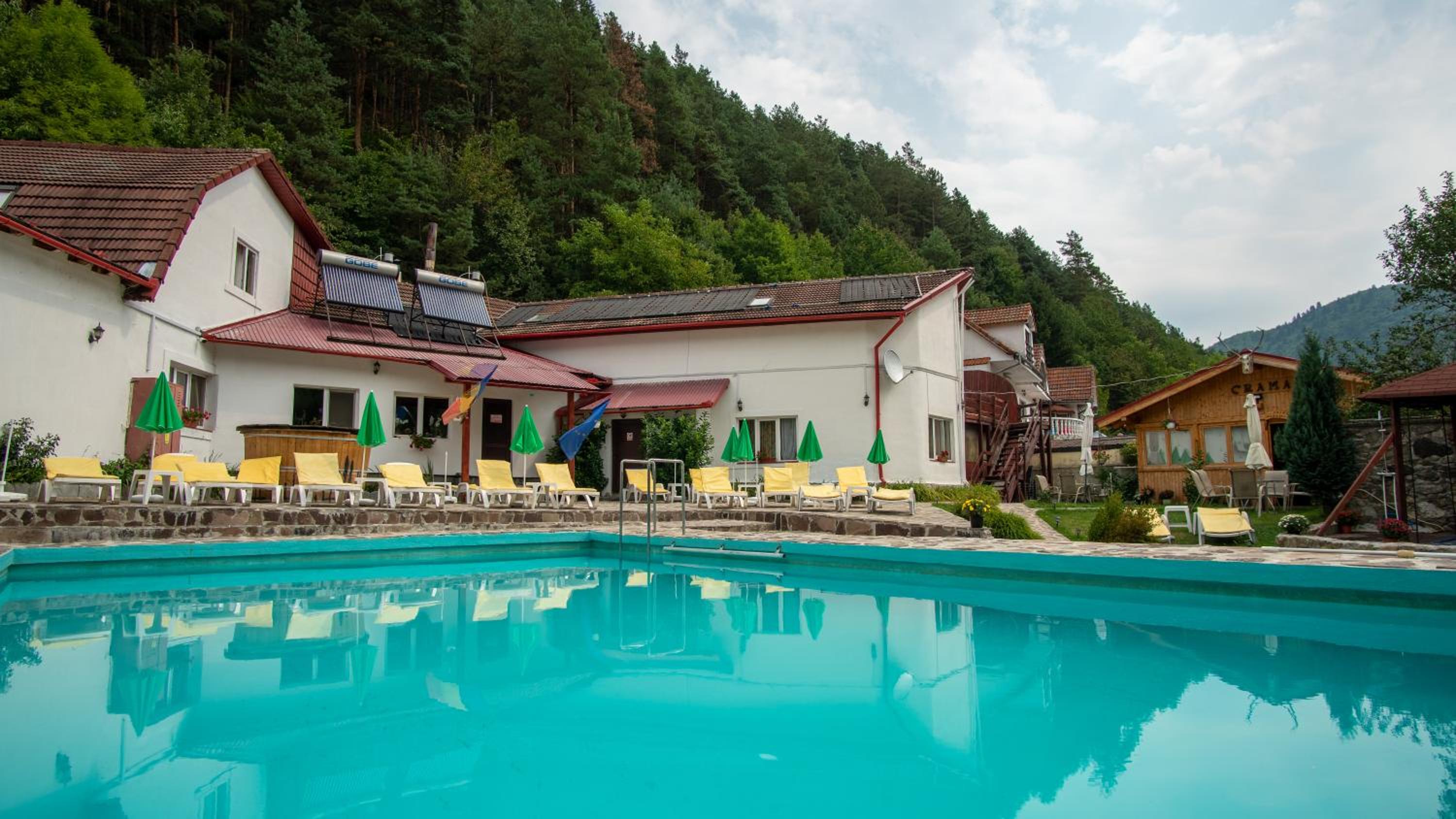 Pensiunea Alpin view 2