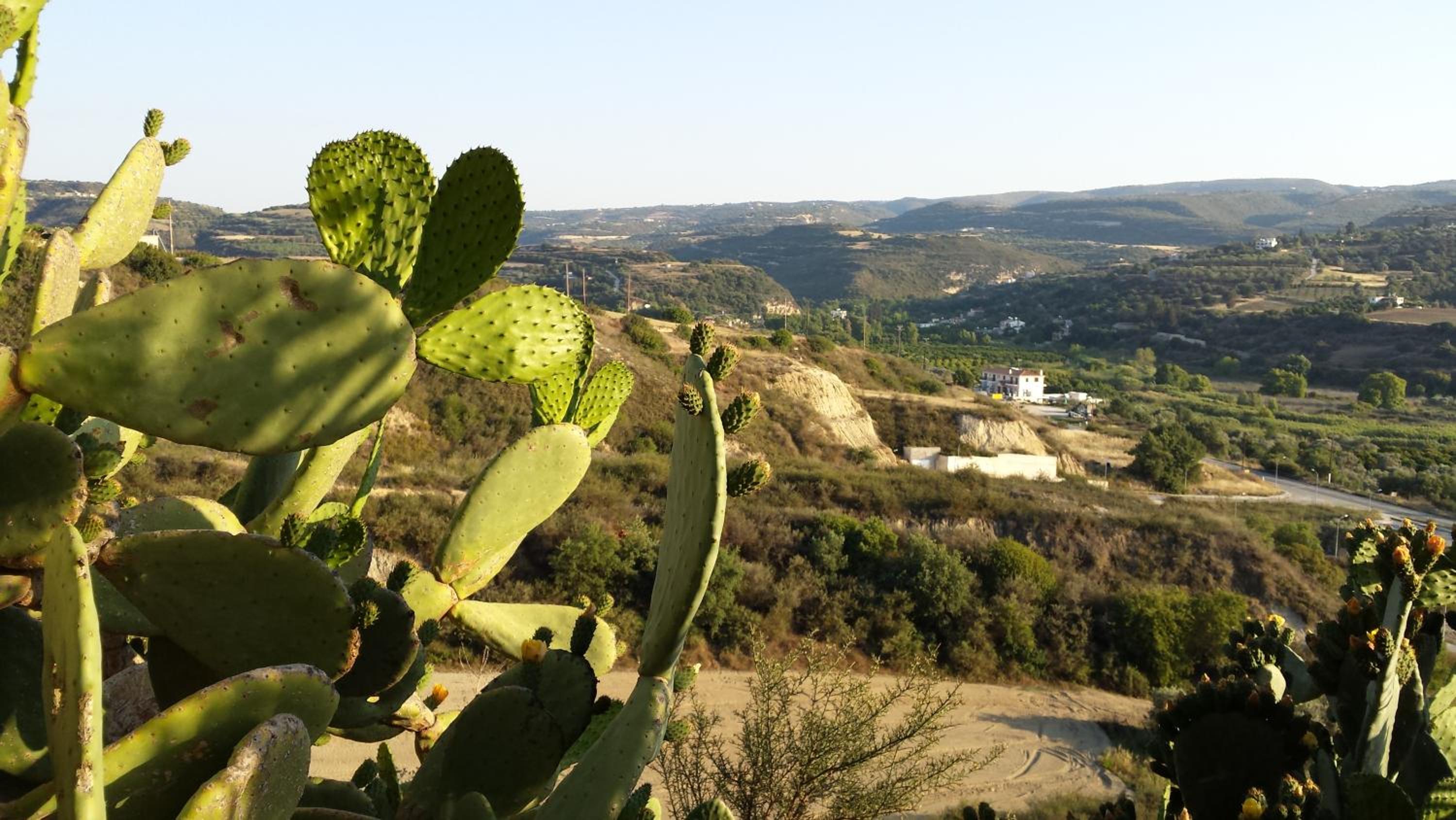 Pervolaris Cottages 2