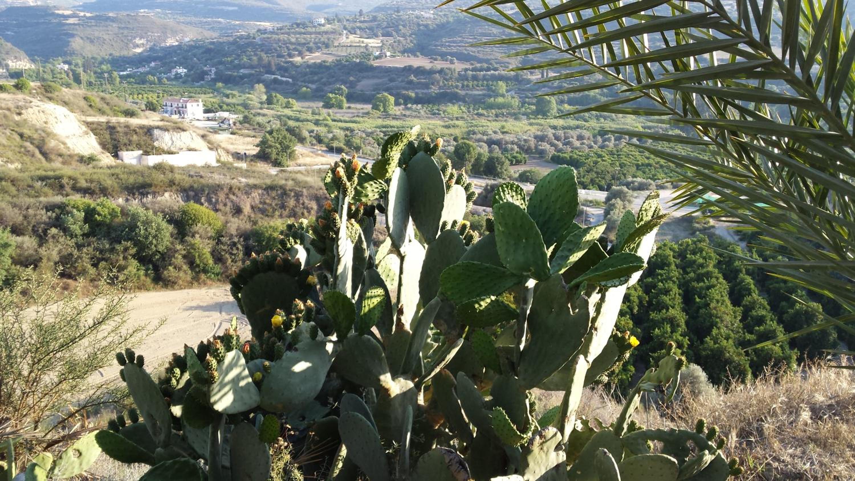 Pervolaris Cottages 2