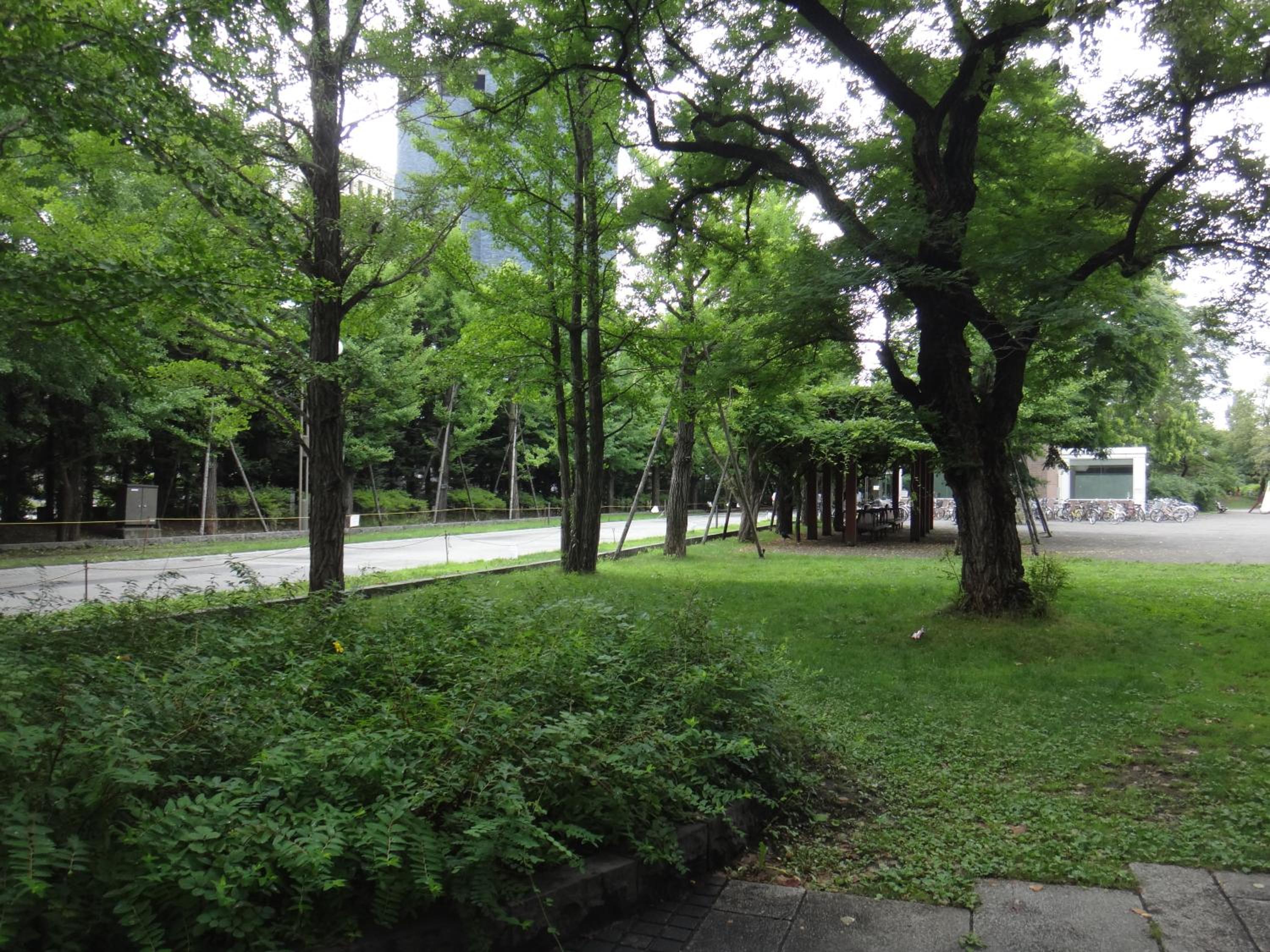 Hotel Relief SAPPORO SUSUKINO - Vacation STAY 22964v 37