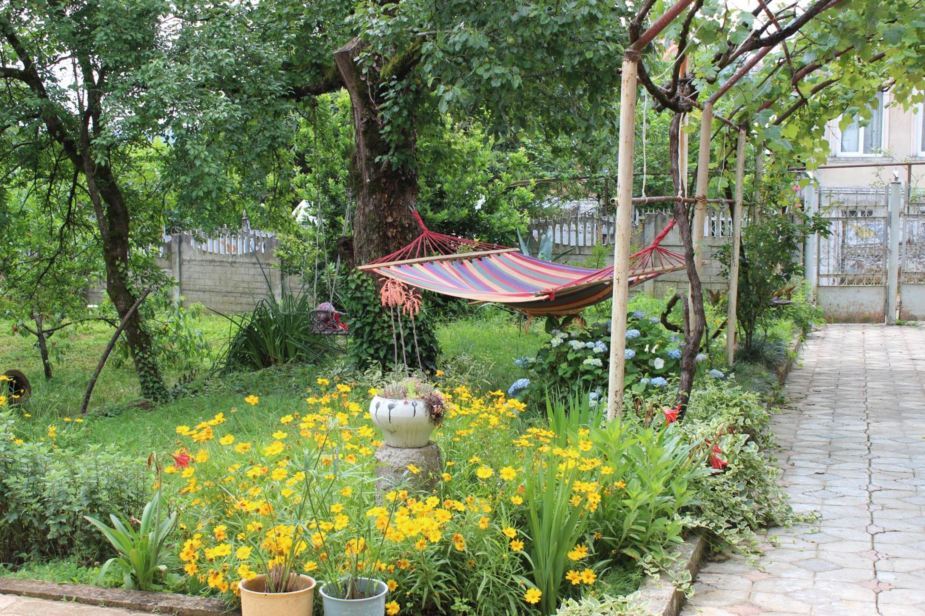 Photo 25