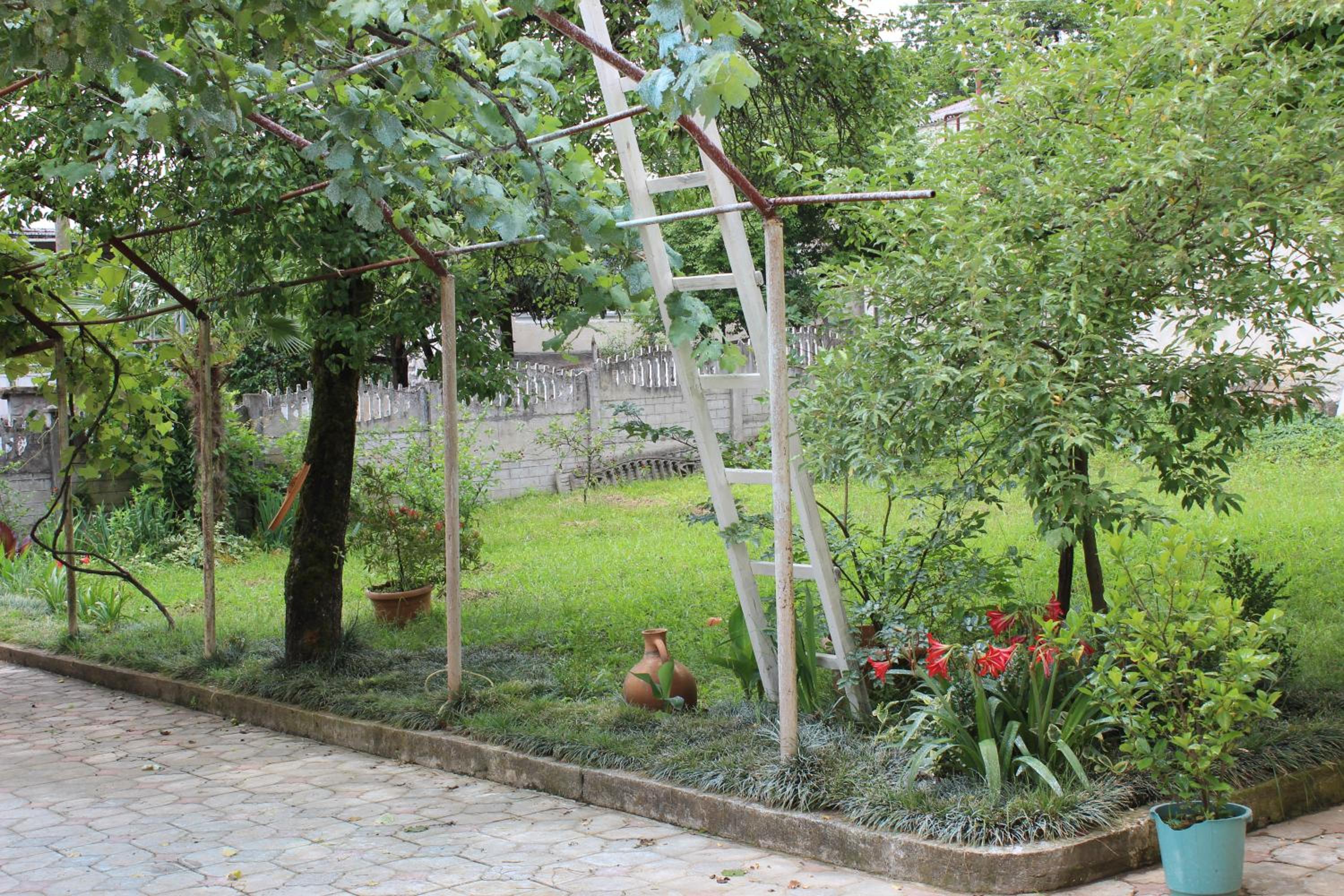 Photo 24