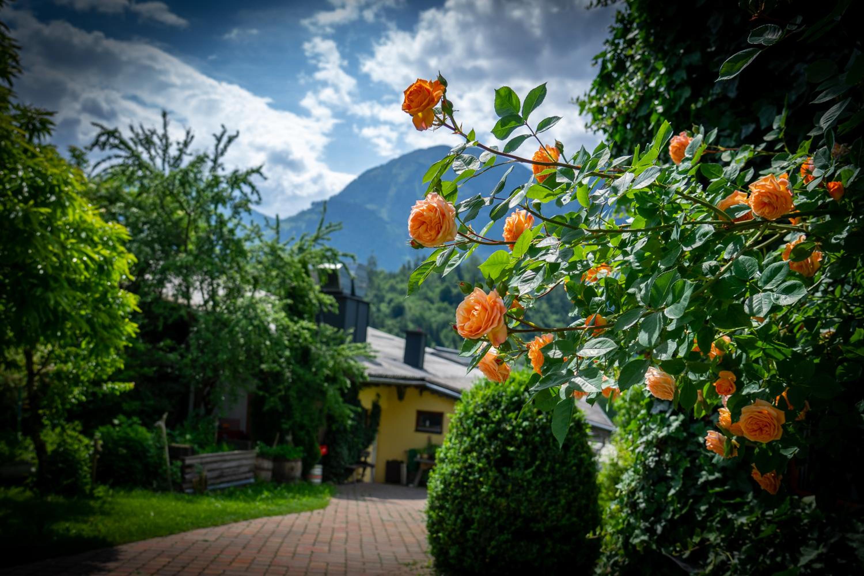 Sportpension Goldegg