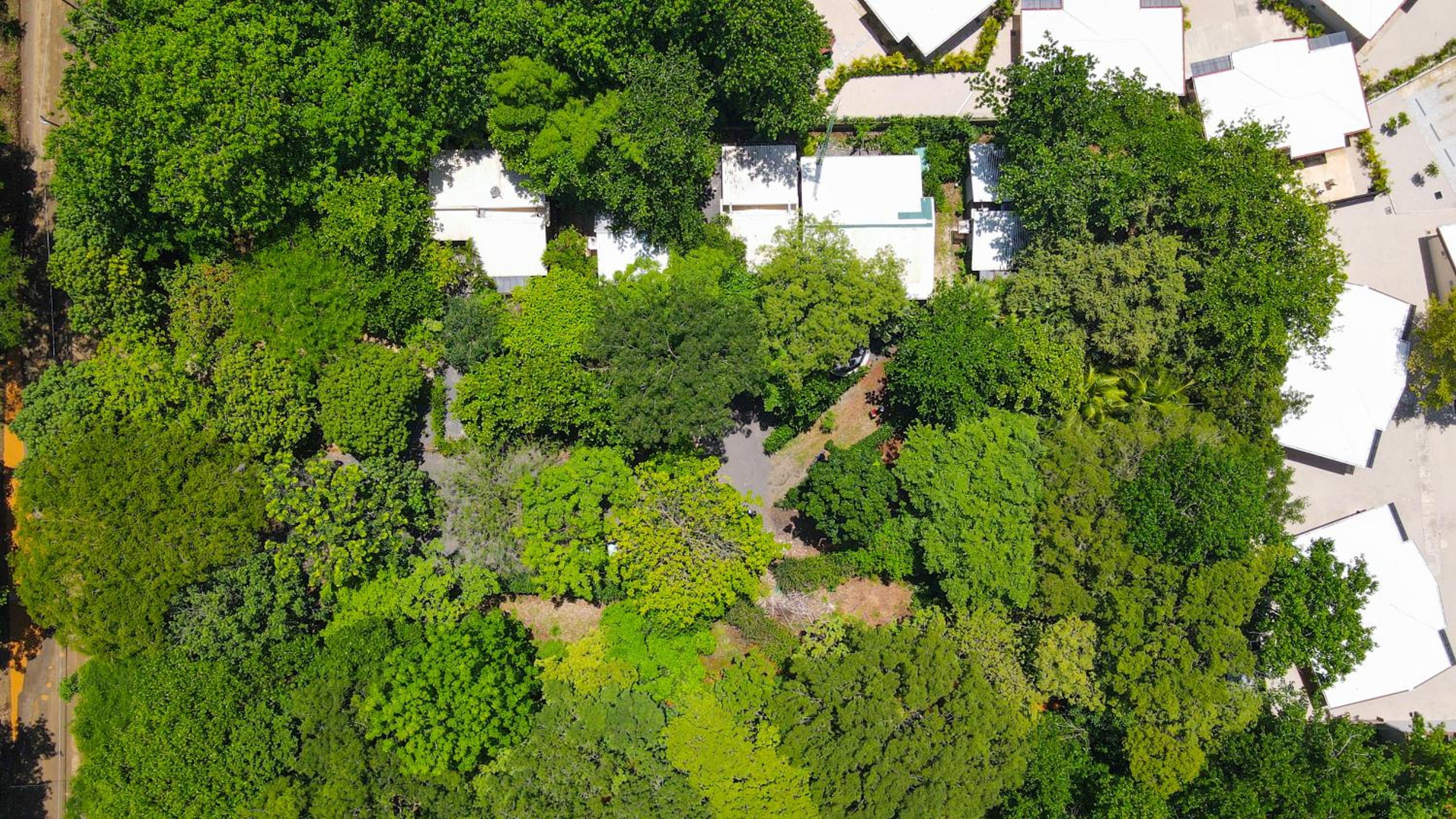 Las Avellanas Villas