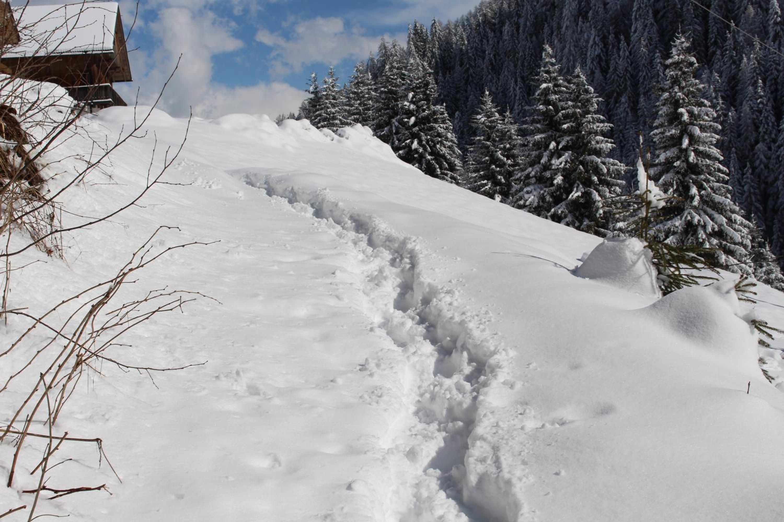 Bad Bergfallerhof view 5