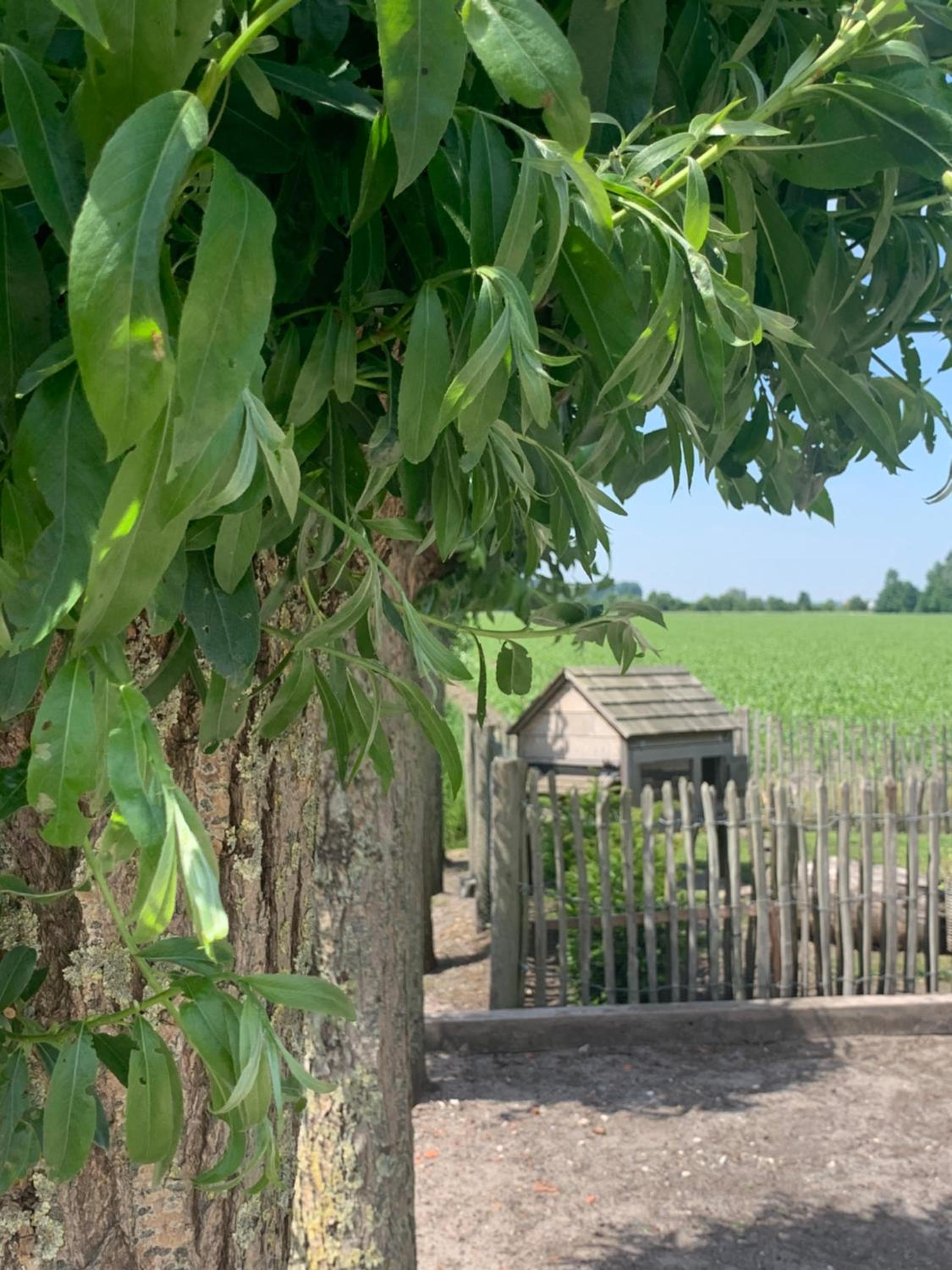 Vakantiewoning 't Rysselhof