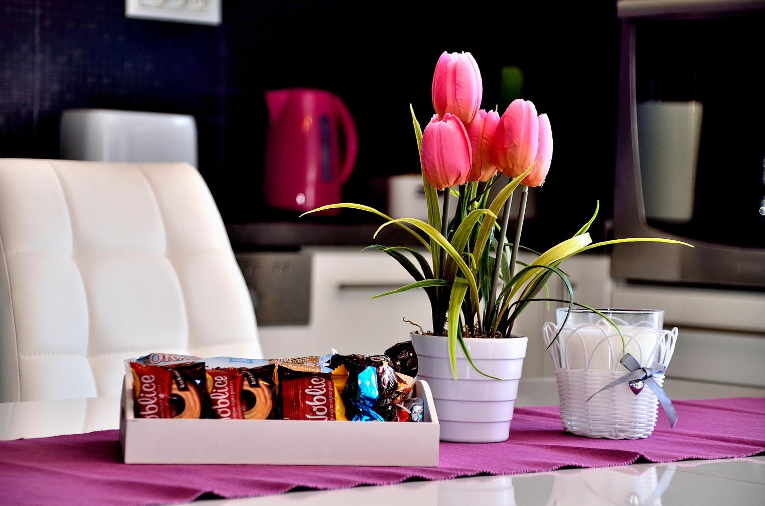 Apartman Staro Selo photo 5