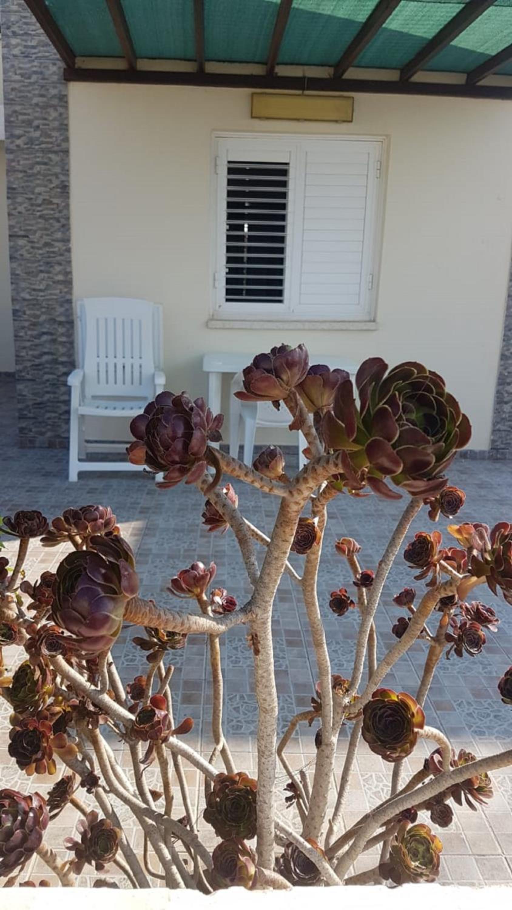 Panorama Beach House, 5 meters to the sea