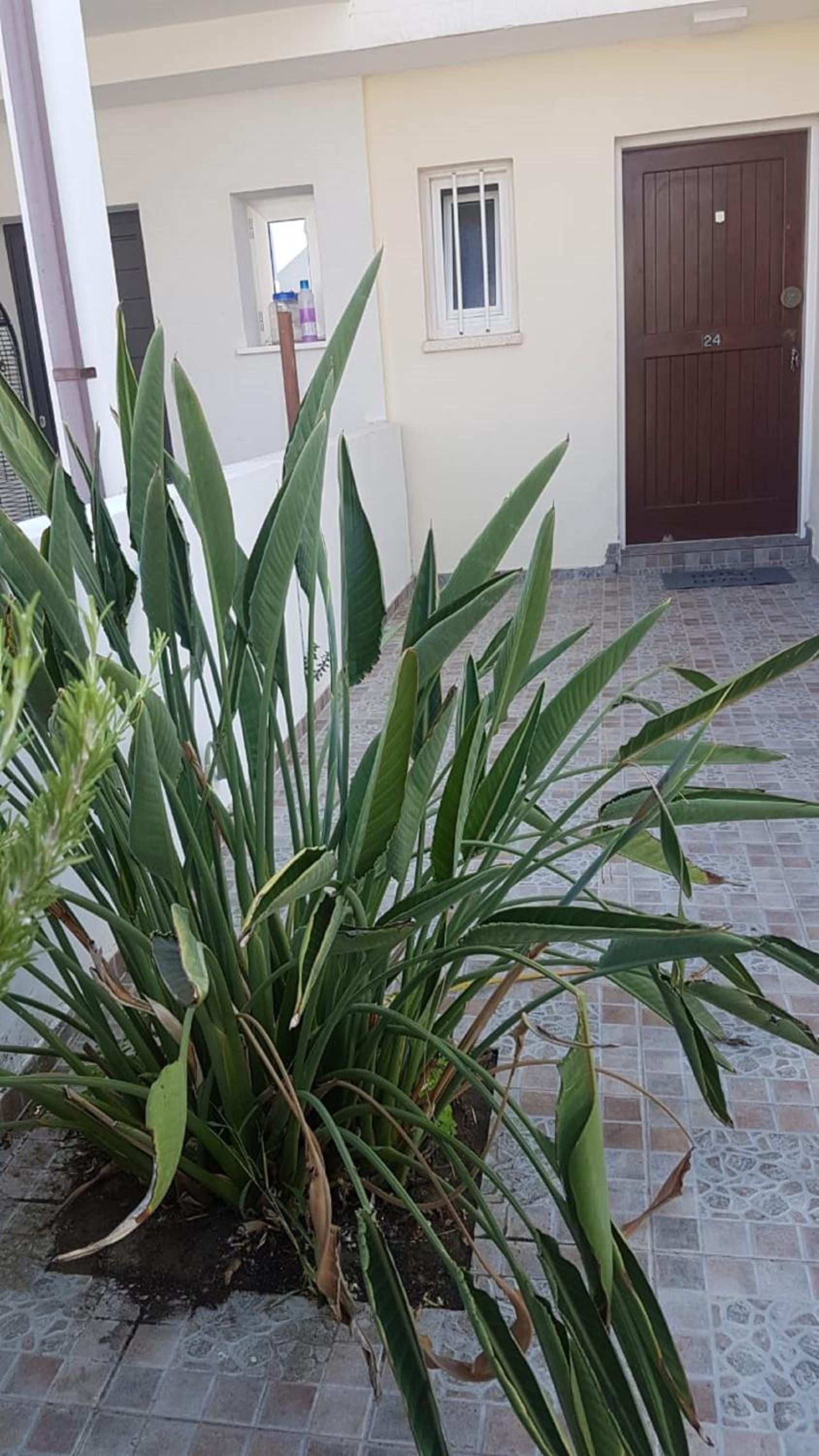 Panorama Beach House, 5 meters to the sea