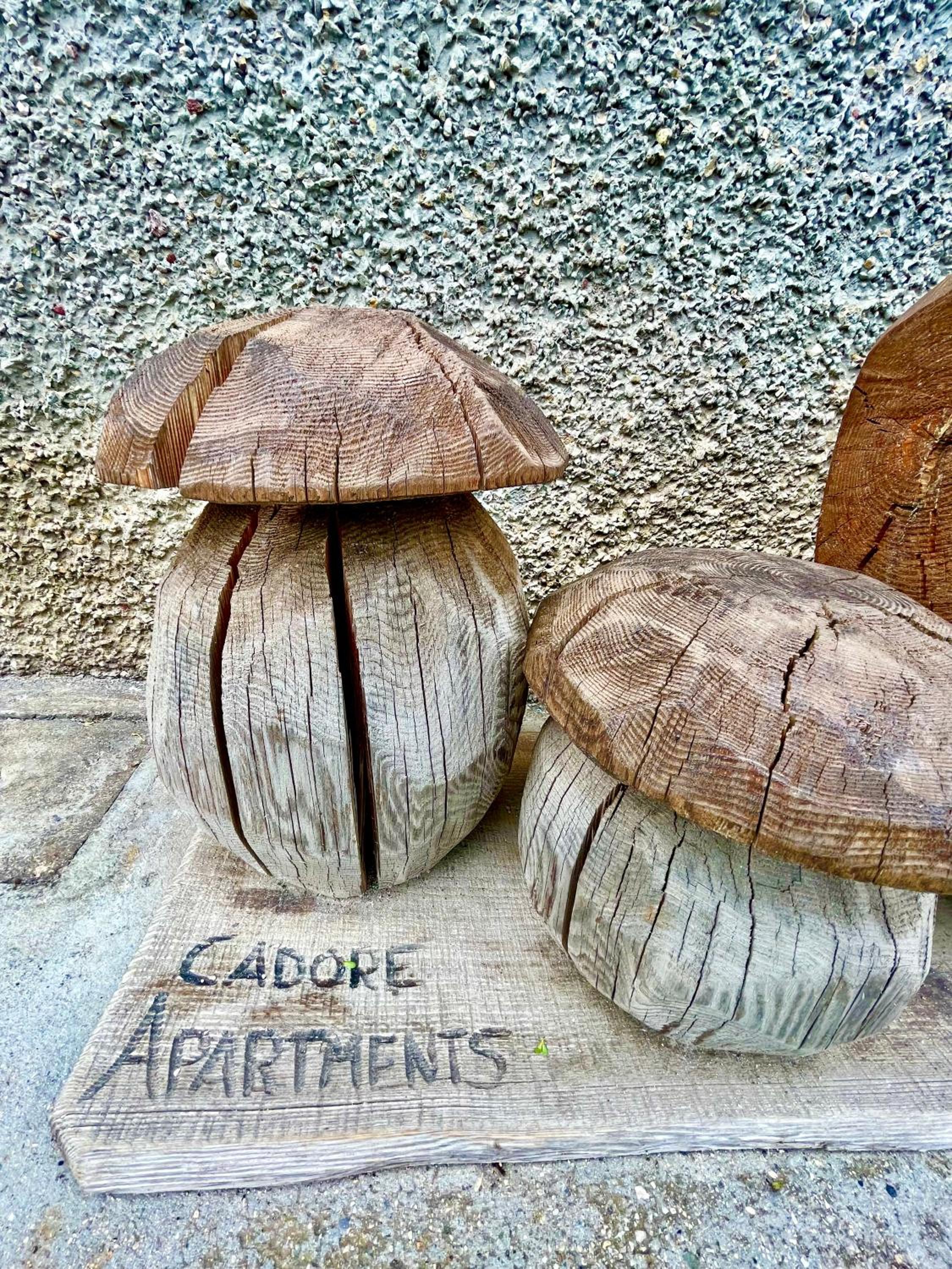 Cadore apartment