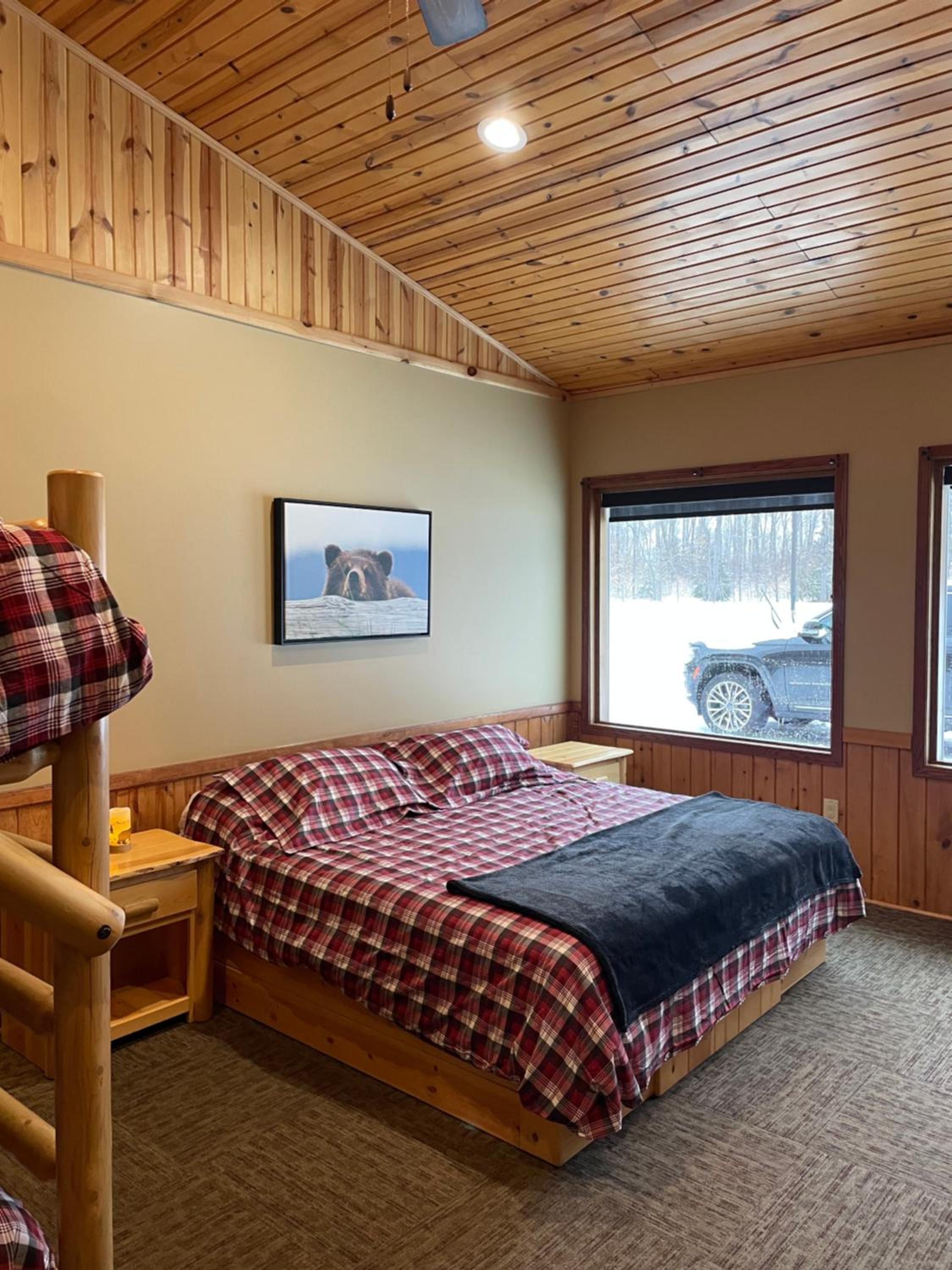 Timberwolf Lodge view 5