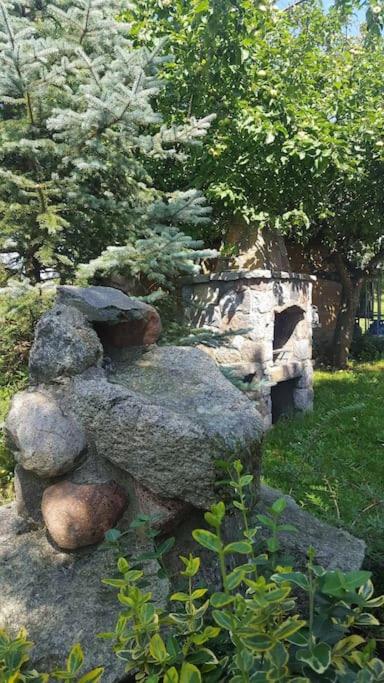 Photo 41