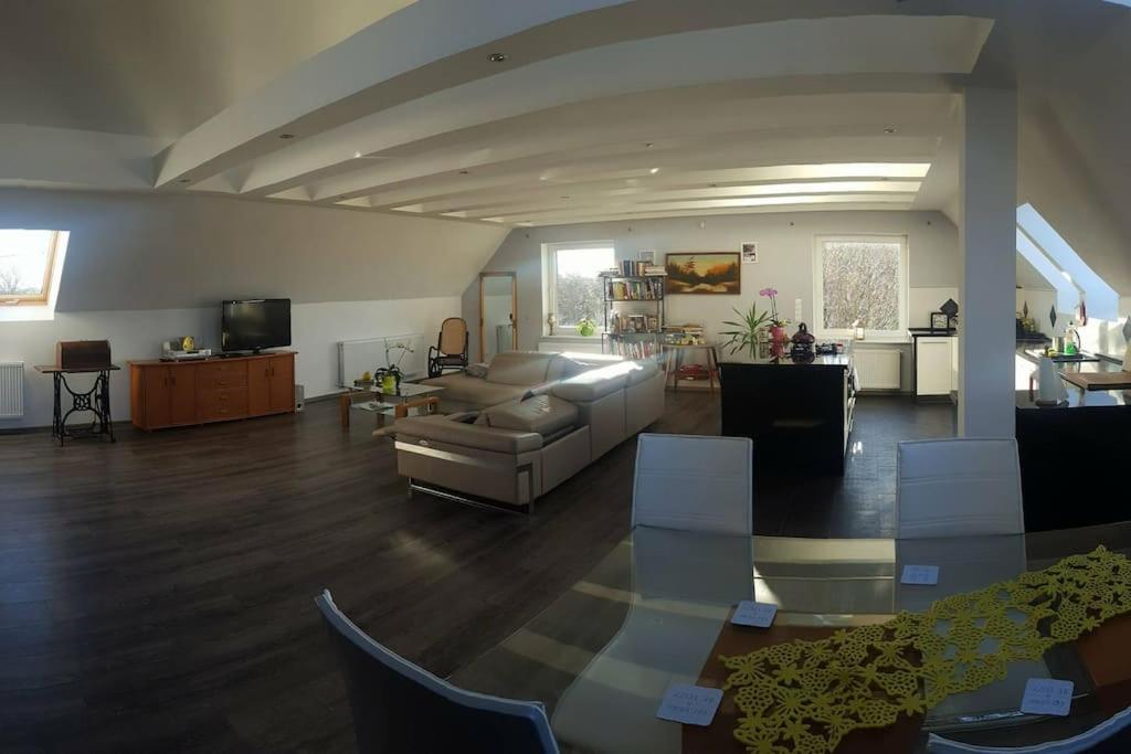 Apartamenty Holiday Slaw jacuzzi bilard view 5