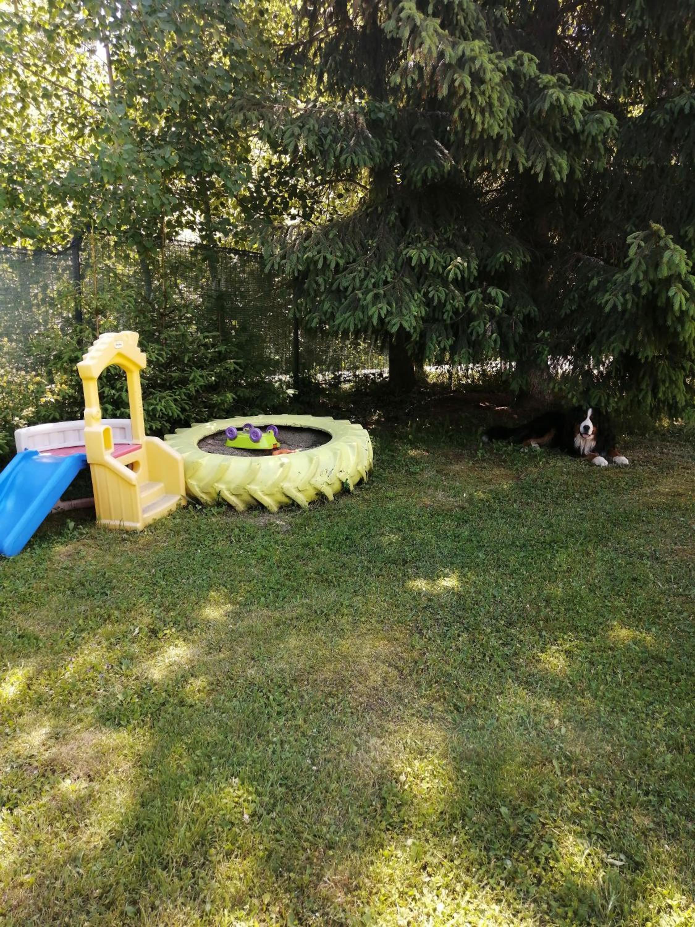 Photo 17