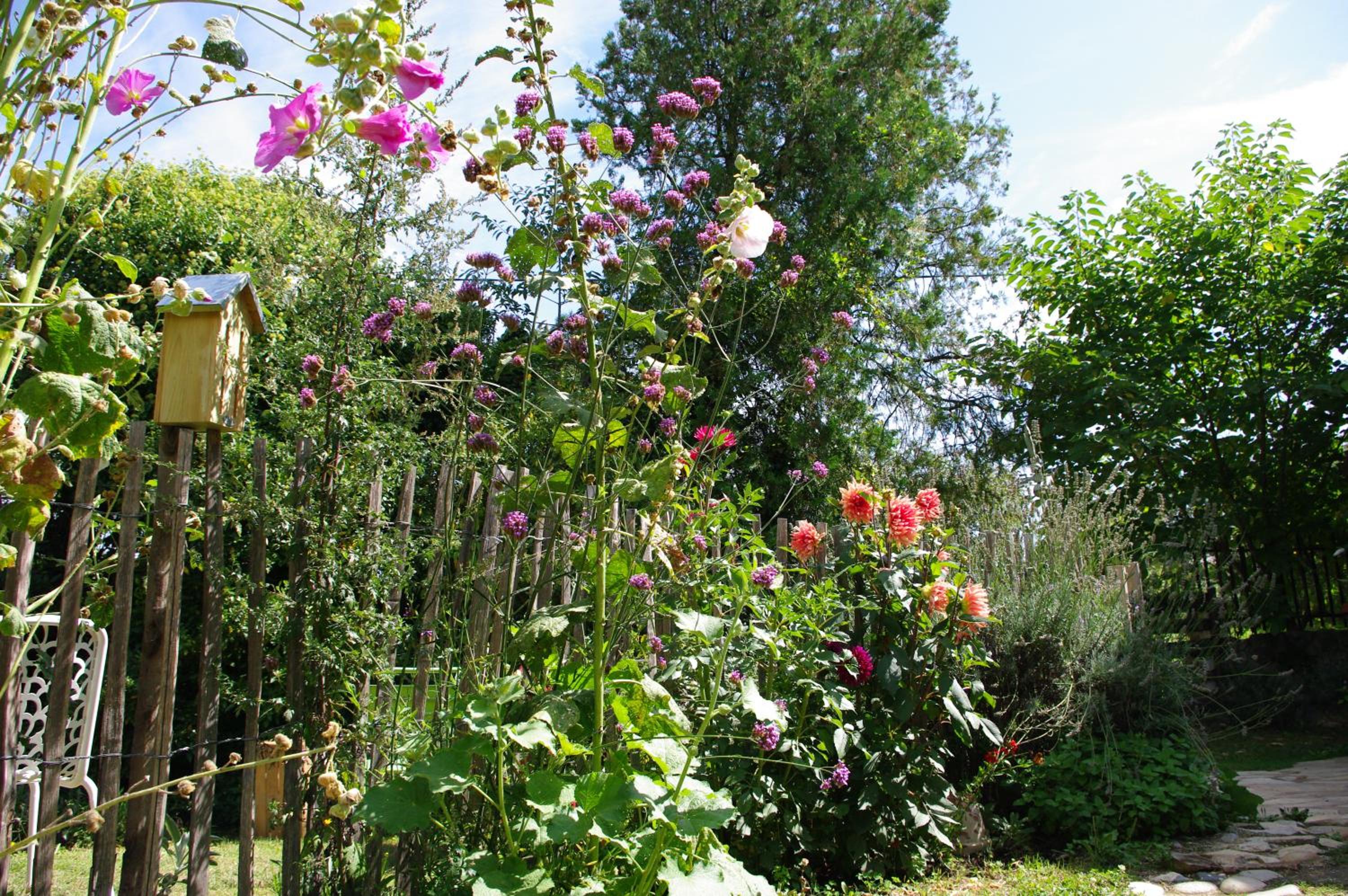 Photo 11