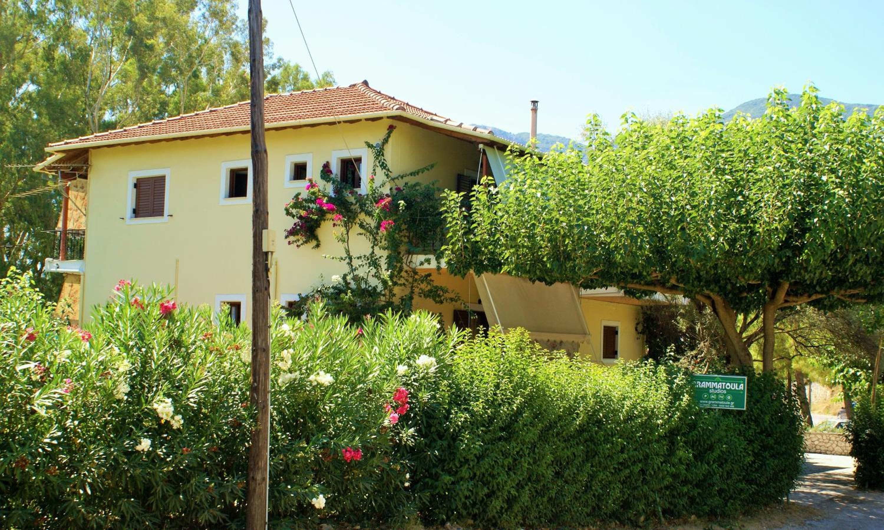 Photo 21