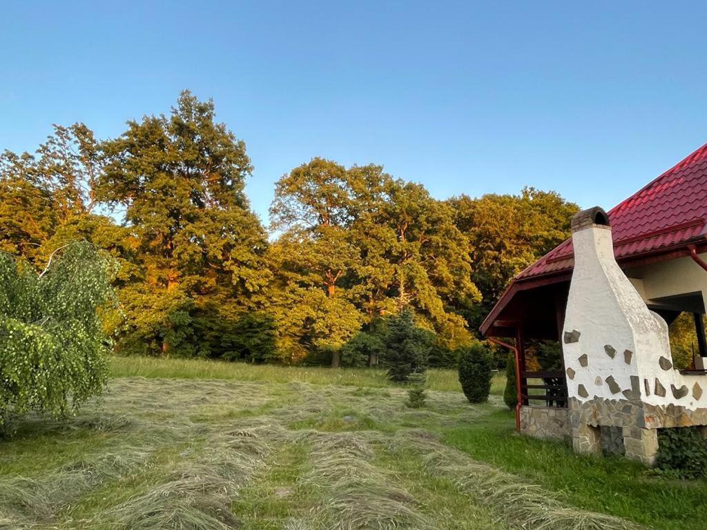 Casa Ina Rasnov view 3