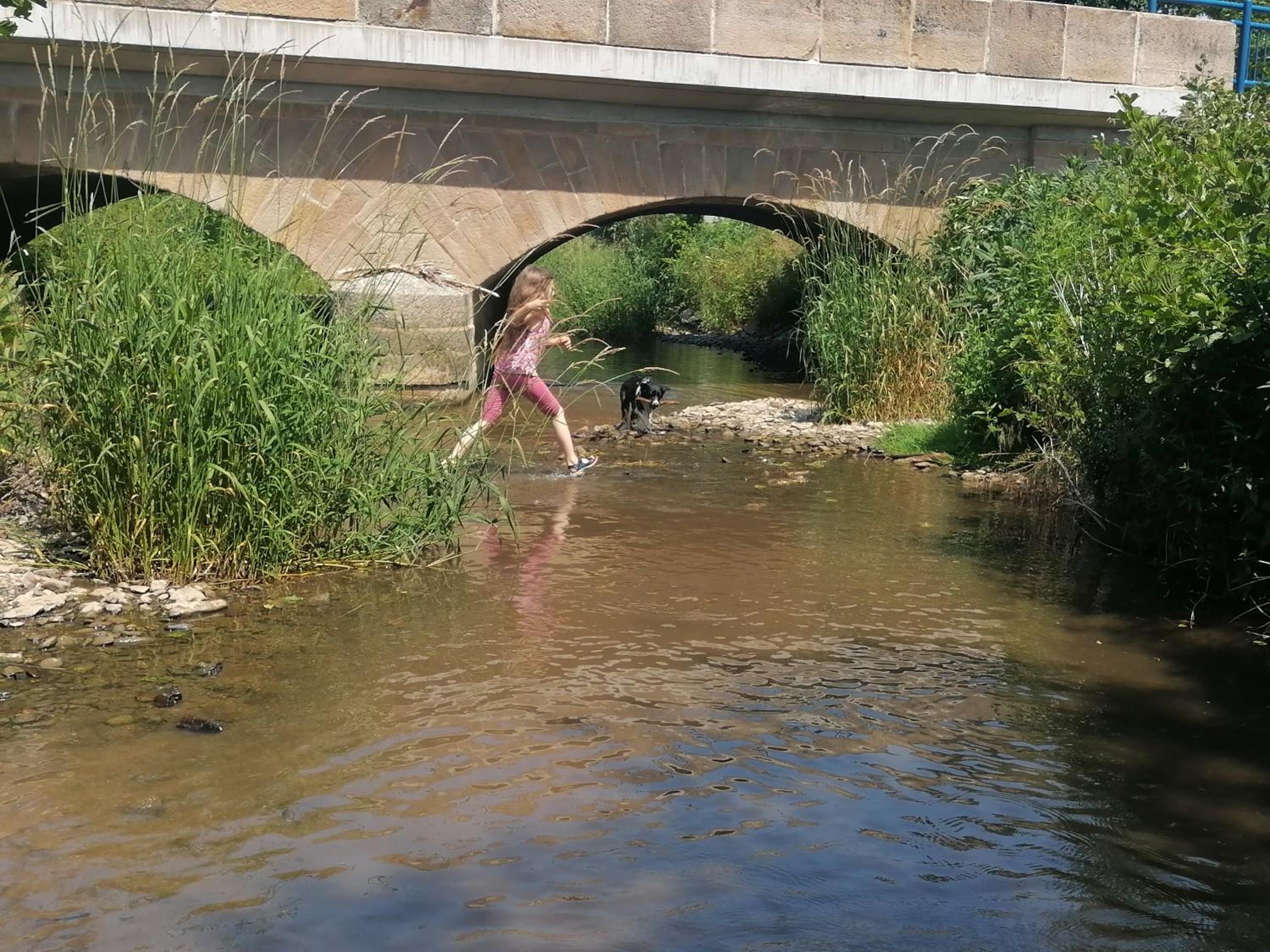 Photo 26