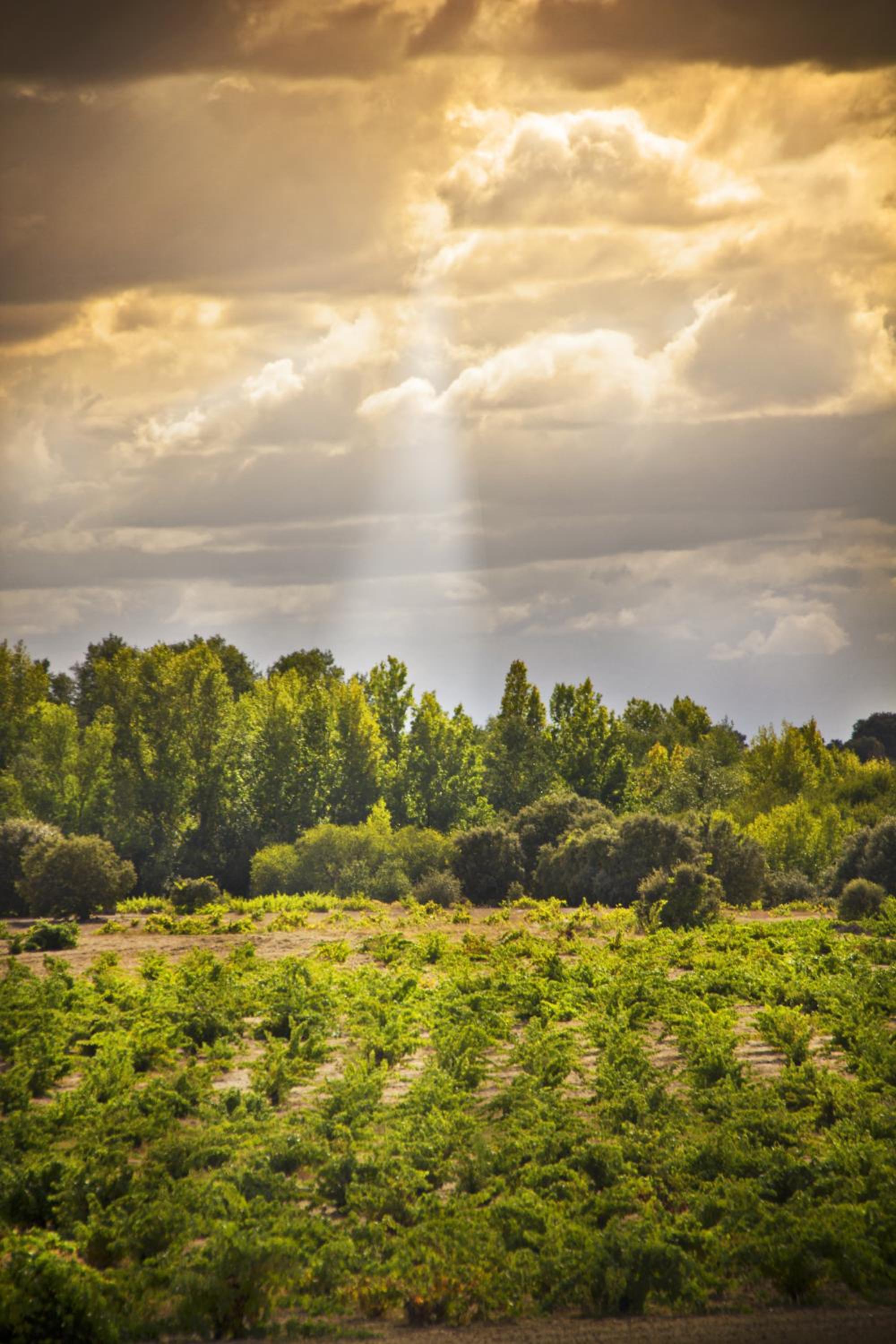Posada Real del Buen Camino, alojamiento rural