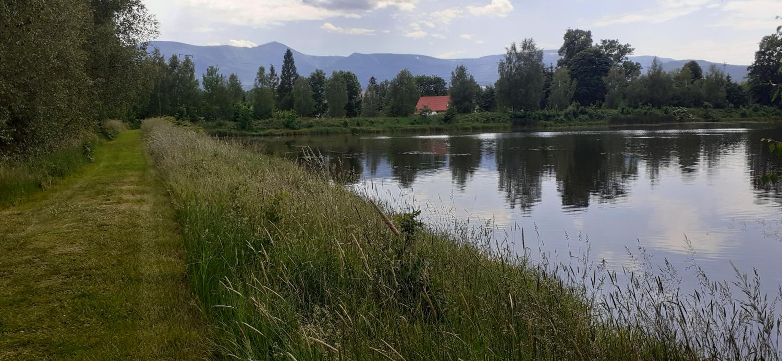 Photo 34