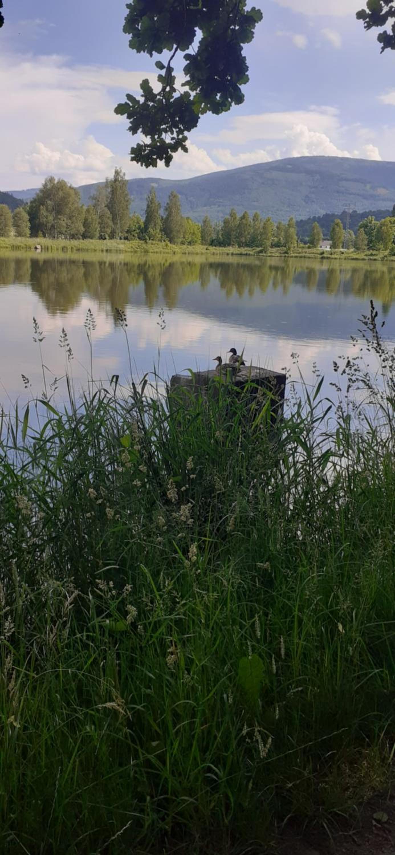 Photo 37