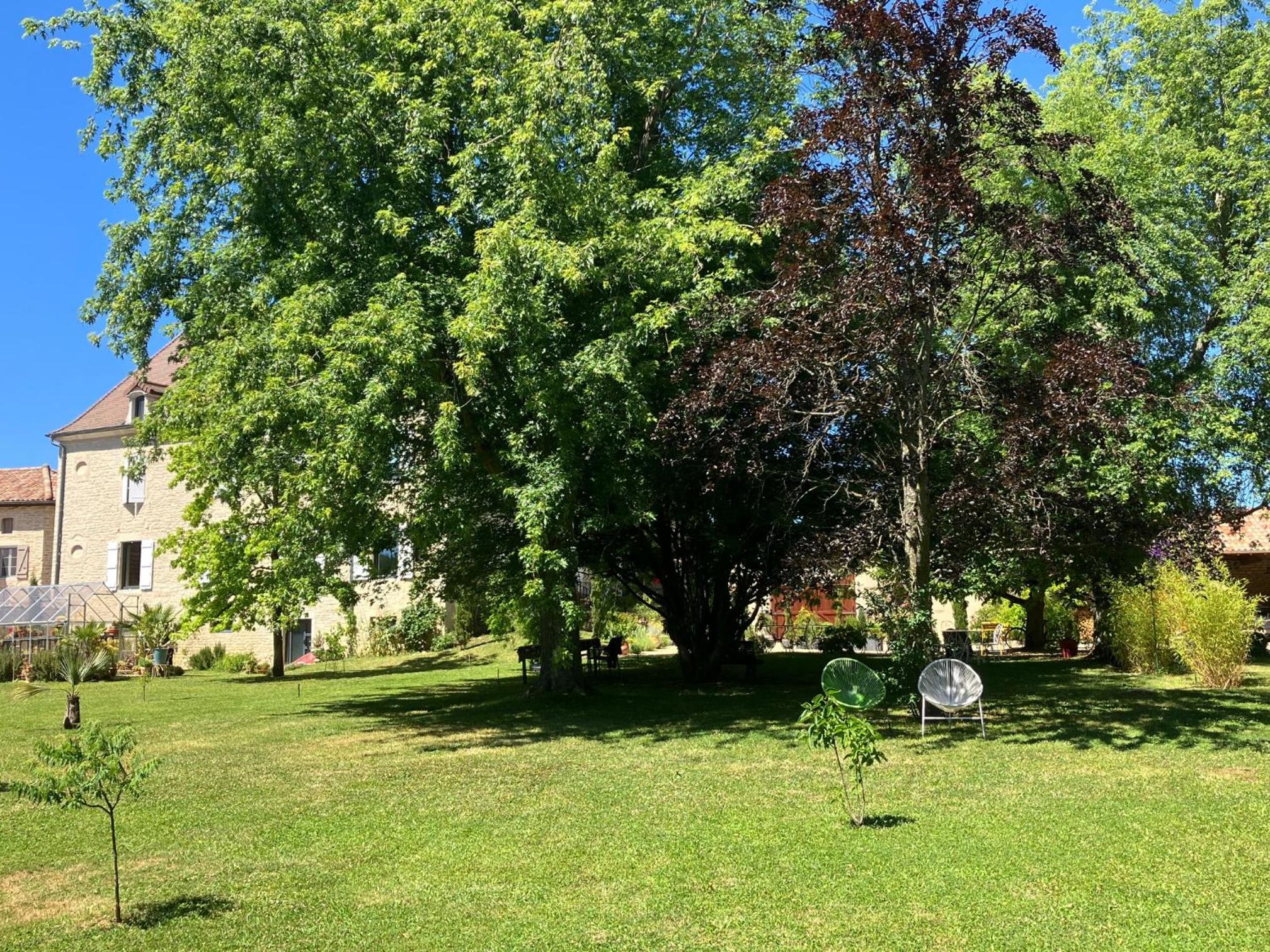 Photo 33