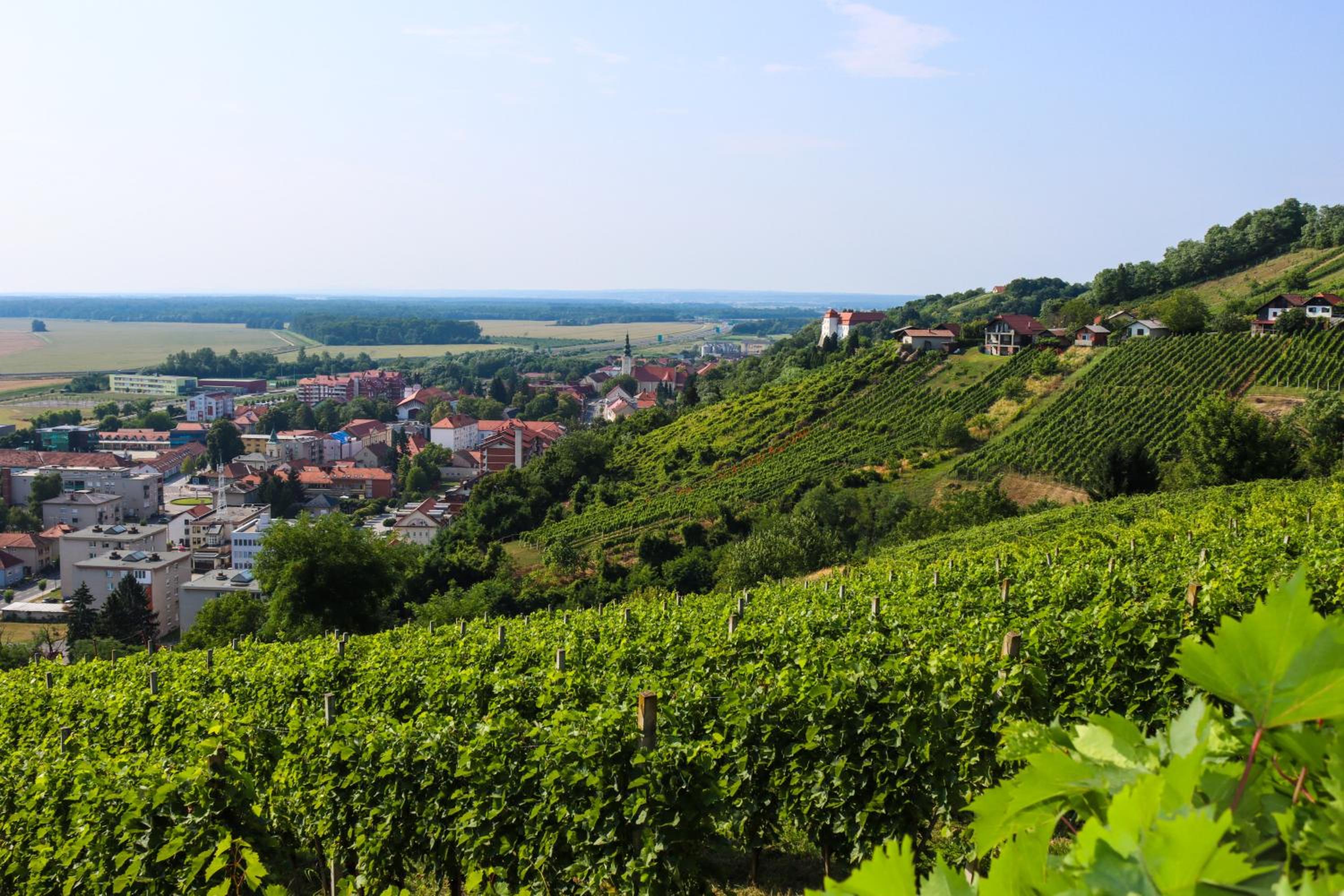 Počitniška hiška pod Hadikom view 5