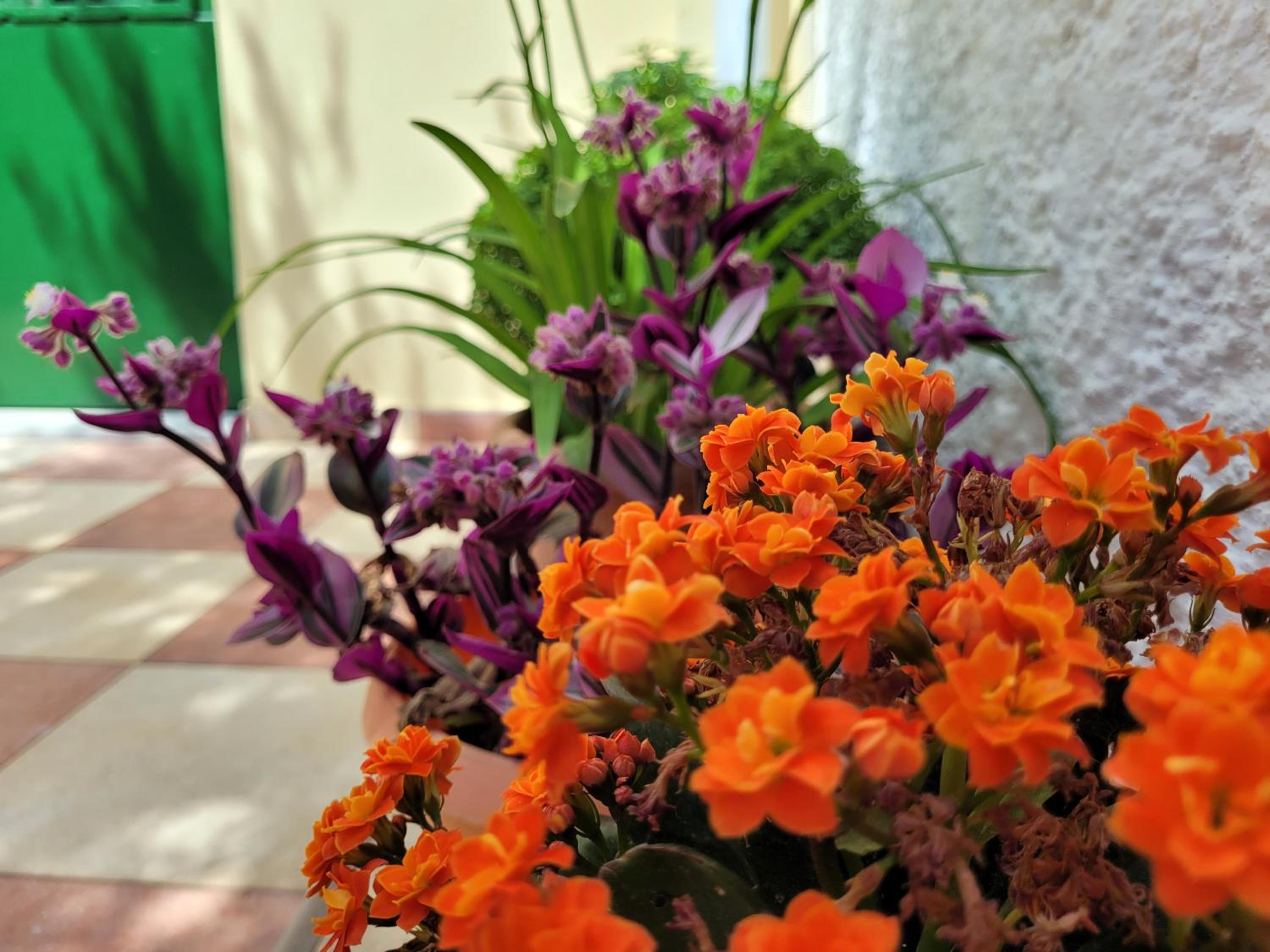 Photo 21