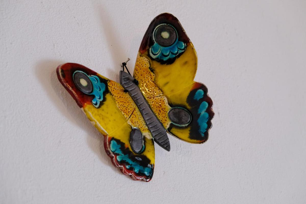 Photo 43