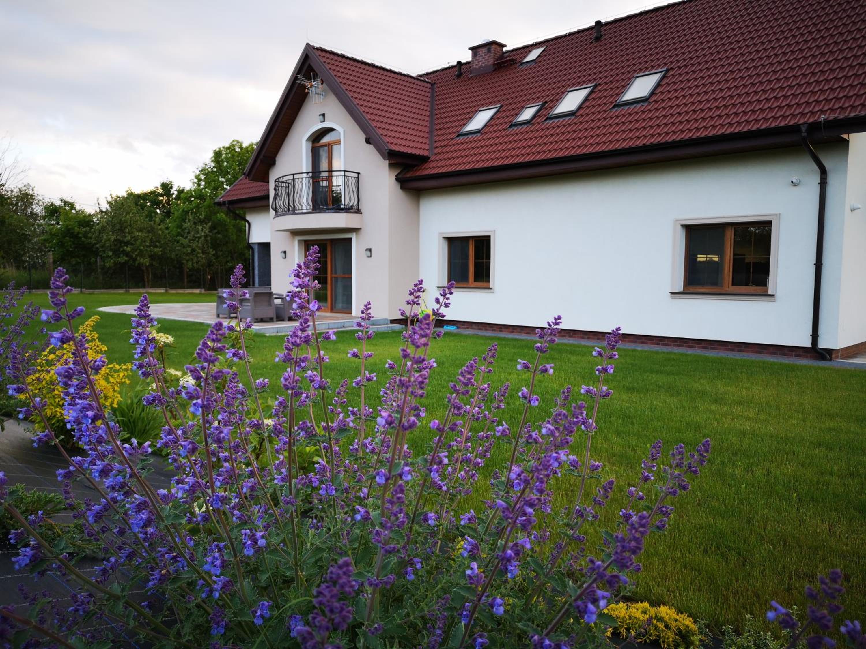 Apartamenty, Zielone Wzgórze Wiktora w Mikołajkach view 3