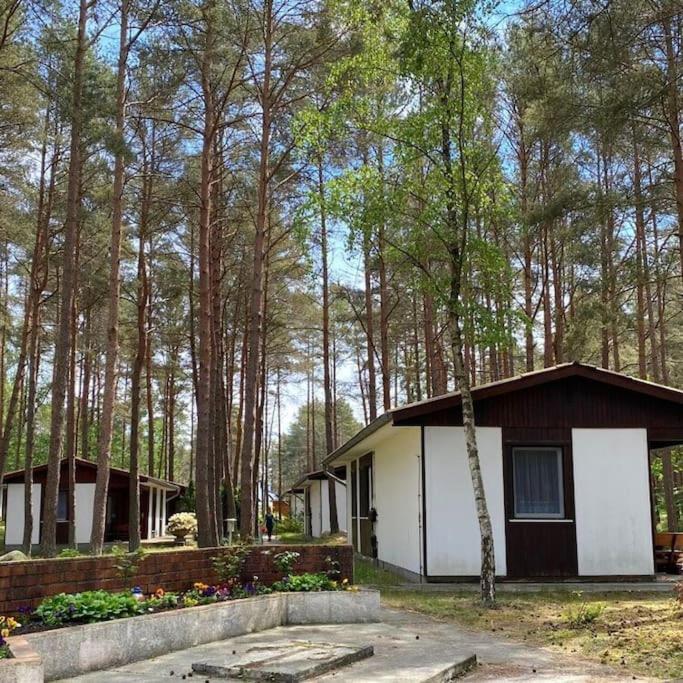 Bungalow im Kiefernwald direkt an der Ostsee (a)