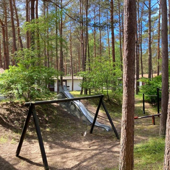 Bungalow im Kiefernwald direkt an der Ostsee (a)