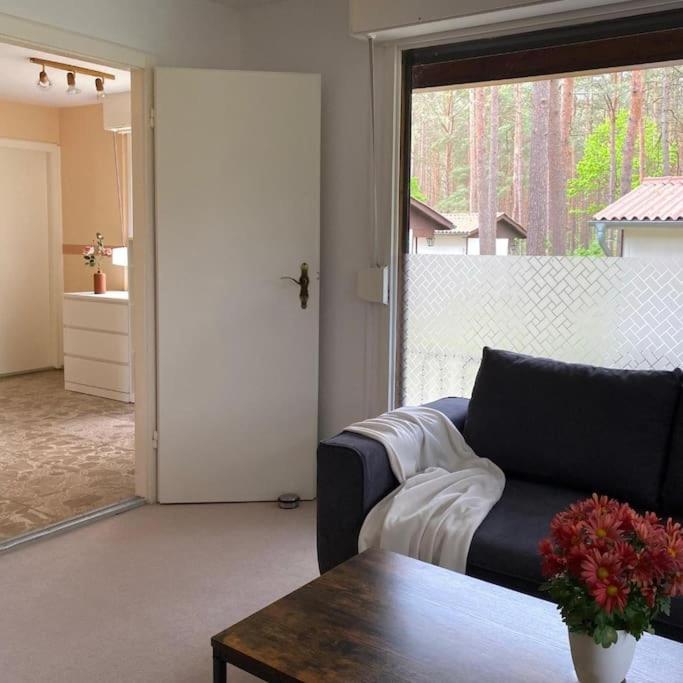 Bungalow im Kiefernwald direkt an der Ostsee (a)