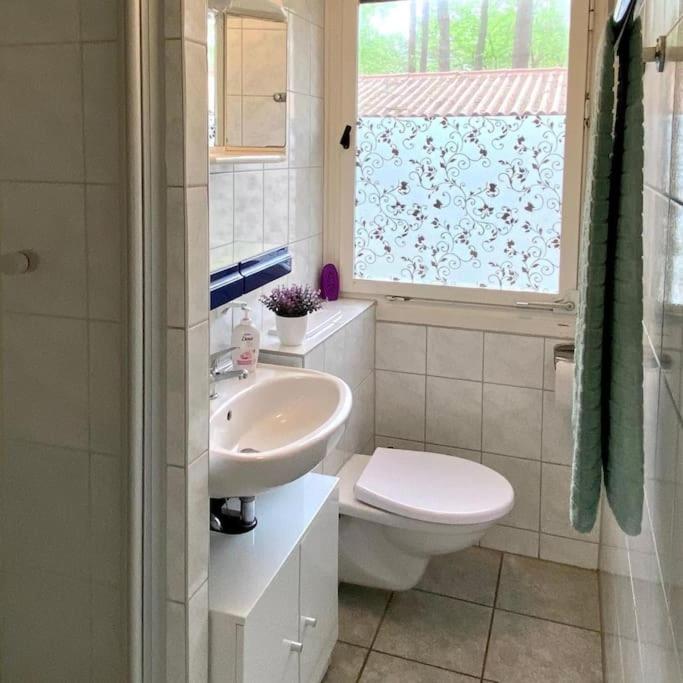 Bungalow im Kiefernwald direkt an der Ostsee (a)