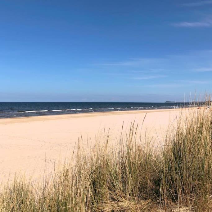 Bungalow im Kiefernwald direkt an der Ostsee (a)