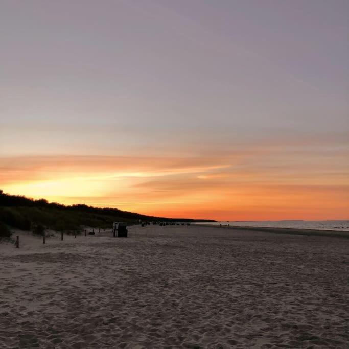 Bungalow im Kiefernwald direkt an der Ostsee (a)