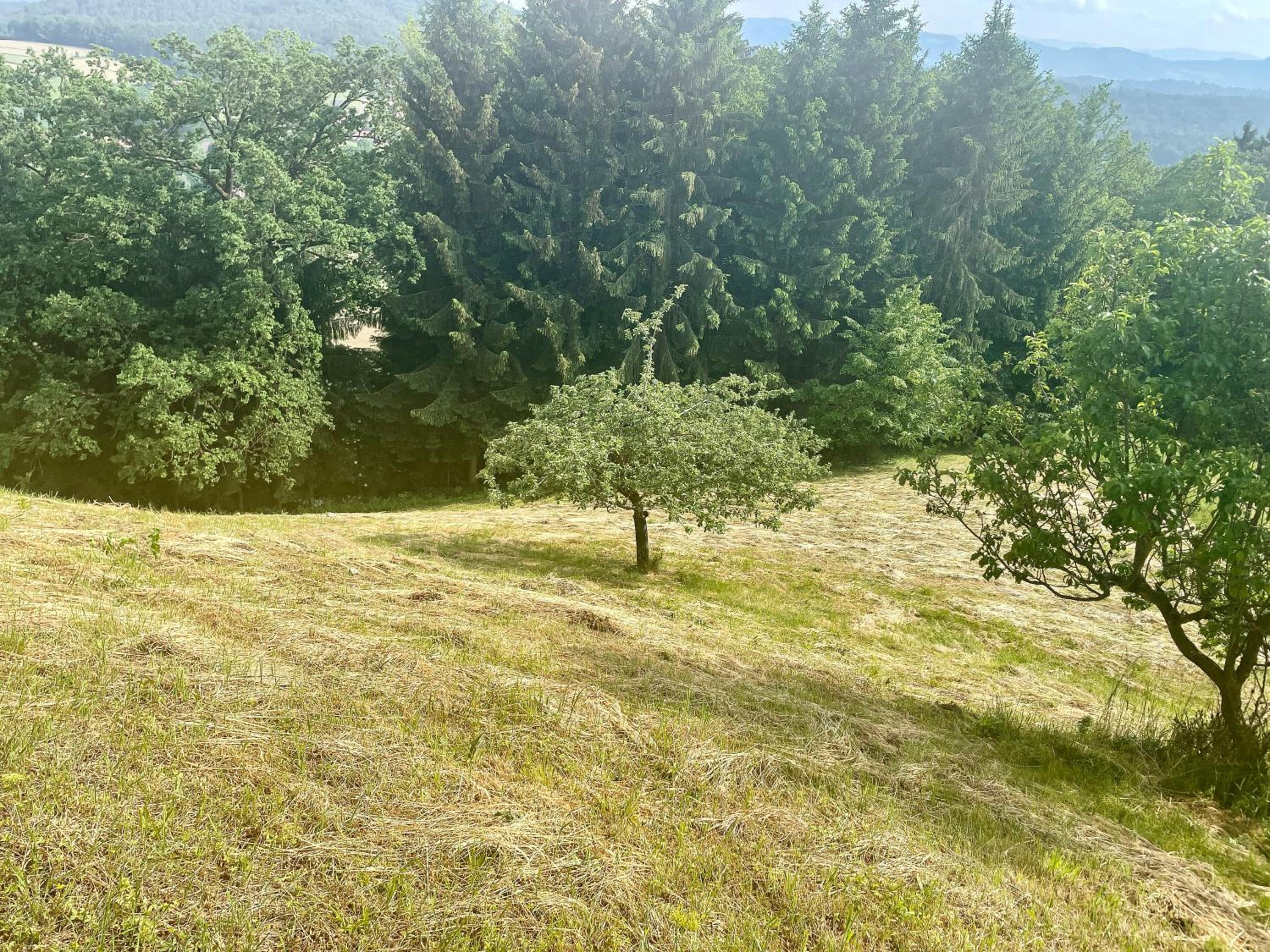 Photo 24