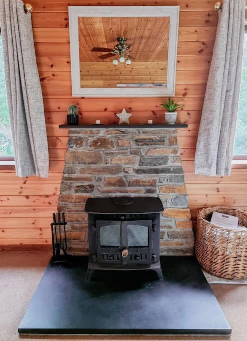Luxury Wood Lodge with sauna, log burner & private woodland garden - Wnion Wood Lodge