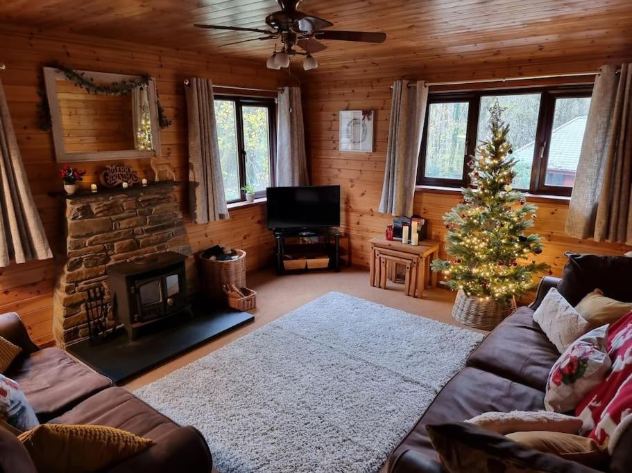 Luxury Wood Lodge with sauna, log burner & private woodland garden - Wnion Wood Lodge