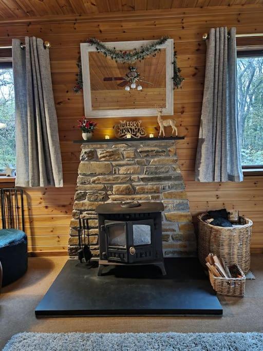 Luxury Wood Lodge with sauna, log burner & private woodland garden - Wnion Wood Lodge