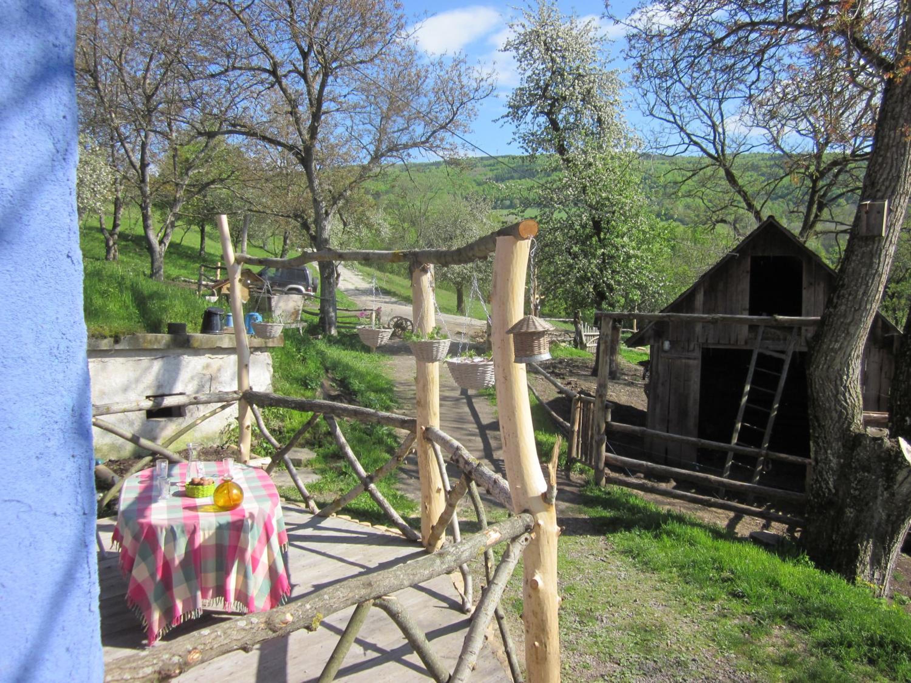 Photo 19