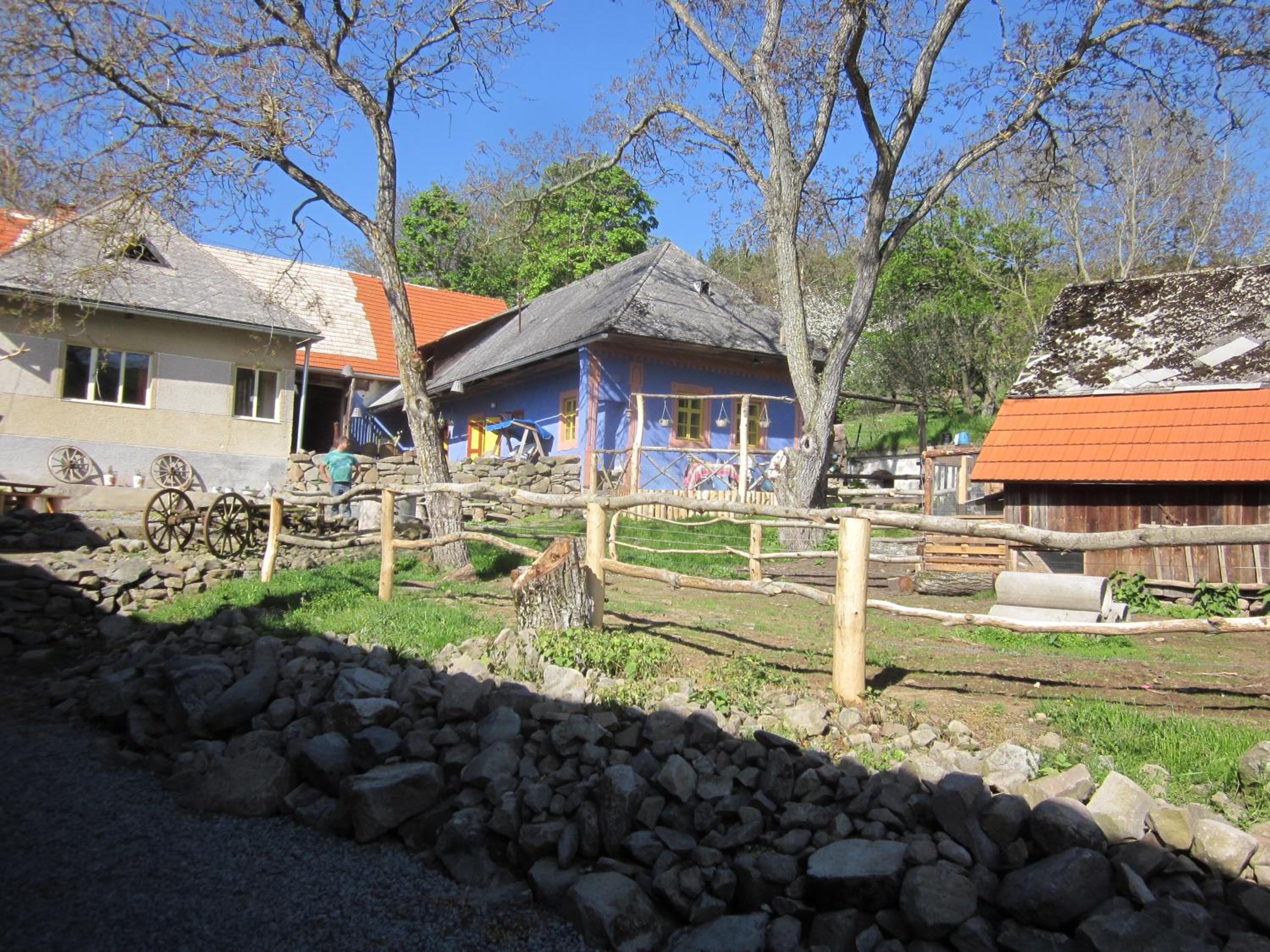 Photo 9