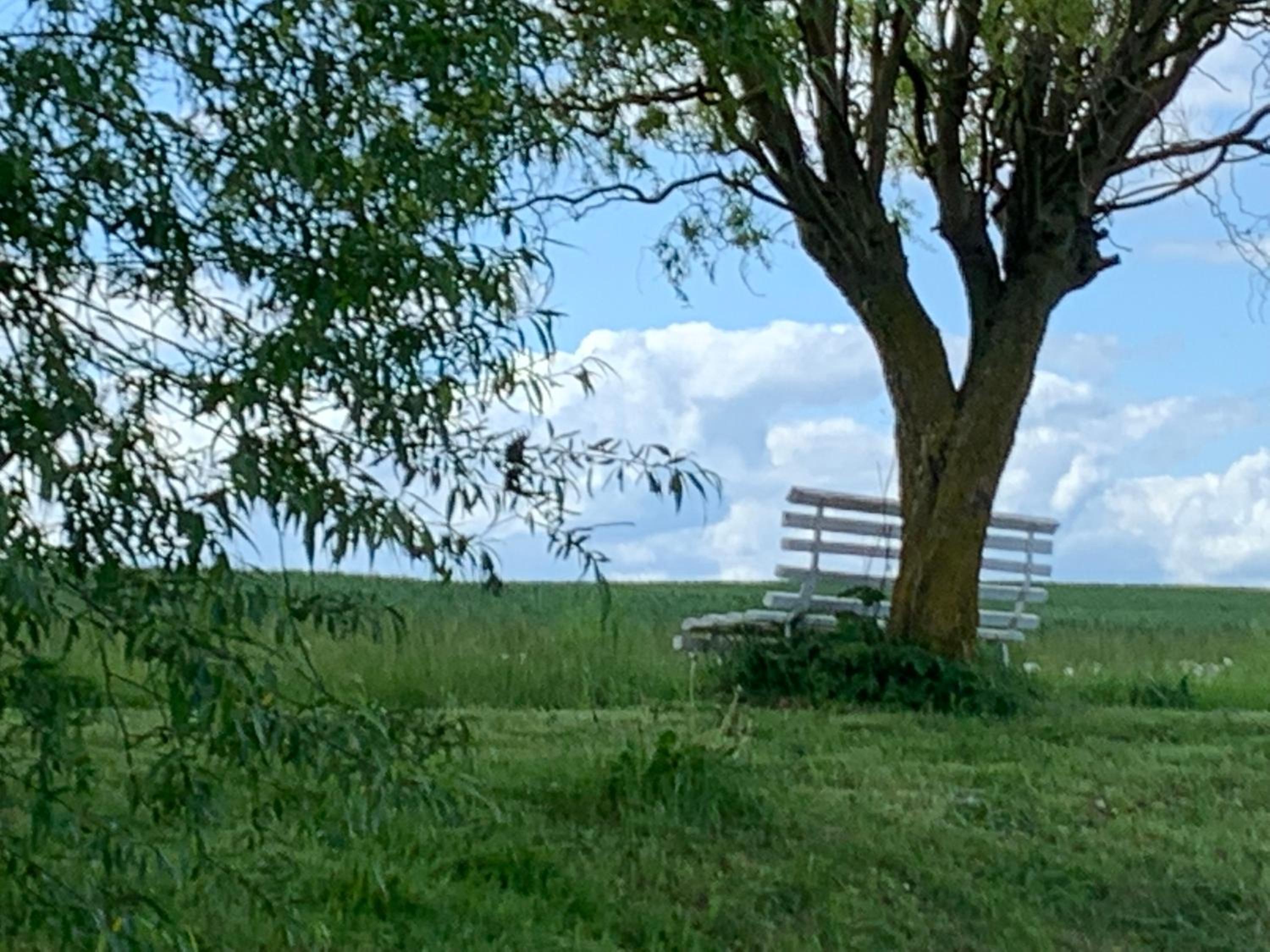 Ferienhäuser Wohlenberg - Baltic Cottages view 4