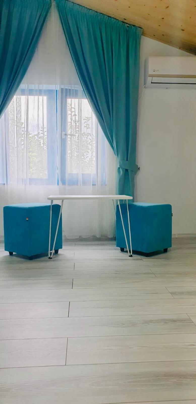 Pensiunea Delta Blue view 3