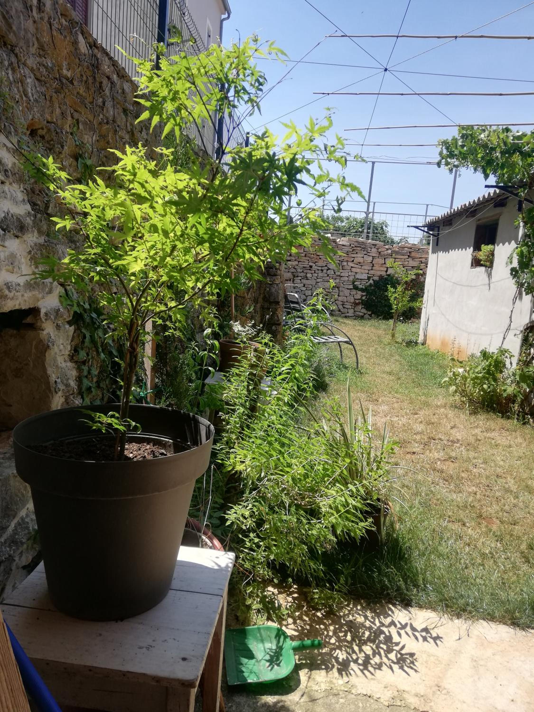 Photo 29